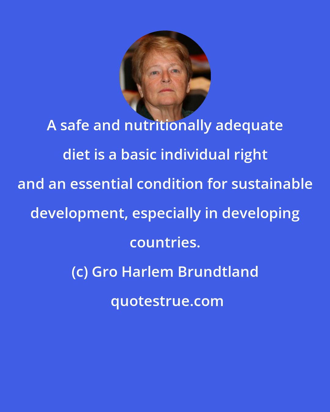 Gro Harlem Brundtland: A safe and nutritionally adequate diet is a basic individual right and an essential condition for sustainable development, especially in developing countries.