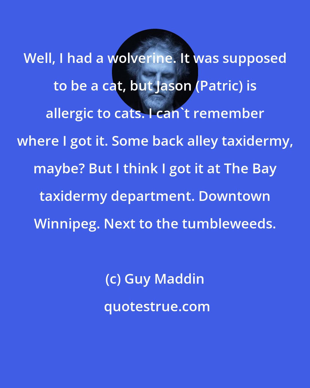 Guy Maddin: Well, I had a wolverine. It was supposed to be a cat, but Jason (Patric) is allergic to cats. I can't remember where I got it. Some back alley taxidermy, maybe? But I think I got it at The Bay taxidermy department. Downtown Winnipeg. Next to the tumbleweeds.