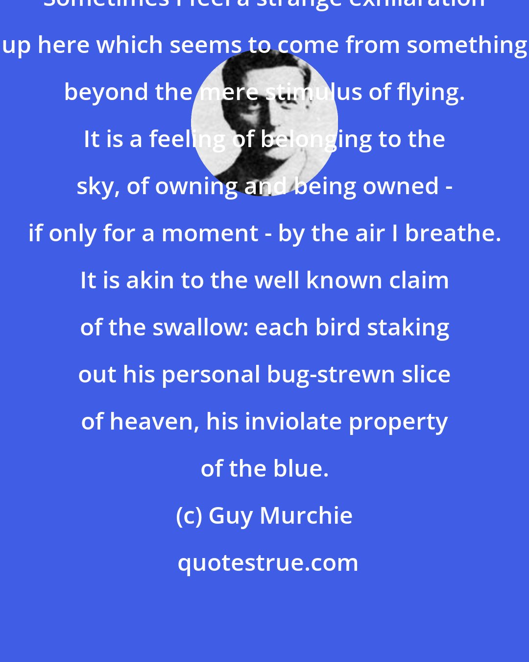 Guy Murchie: Sometimes I feel a strange exhilaration up here which seems to come from something beyond the mere stimulus of flying. It is a feeling of belonging to the sky, of owning and being owned - if only for a moment - by the air I breathe. It is akin to the well known claim of the swallow: each bird staking out his personal bug-strewn slice of heaven, his inviolate property of the blue.