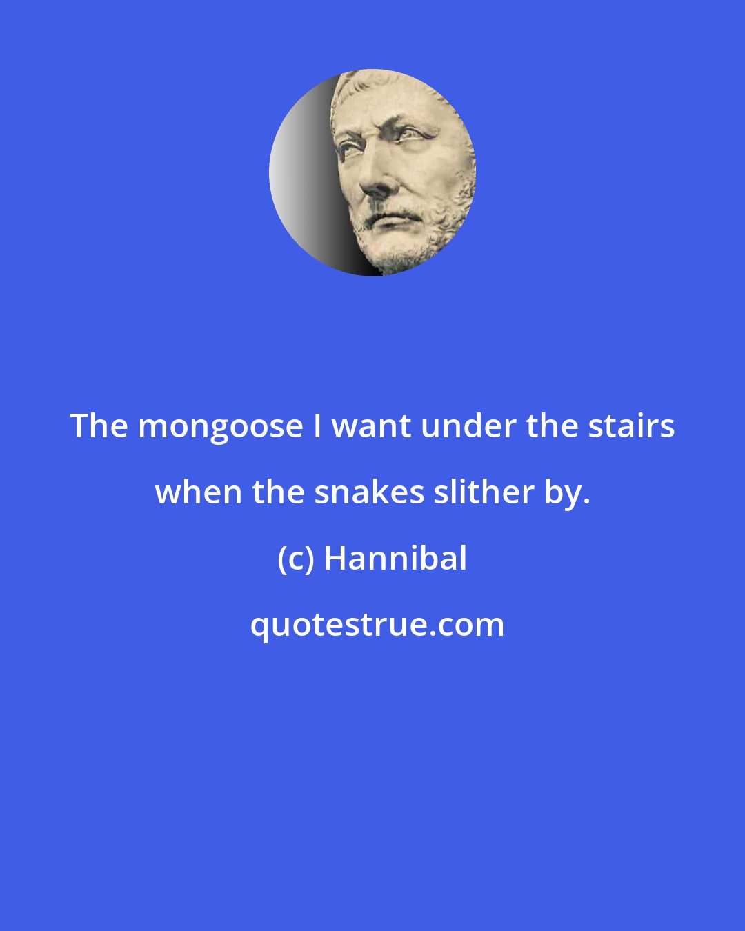 Hannibal: The mongoose I want under the stairs when the snakes slither by.
