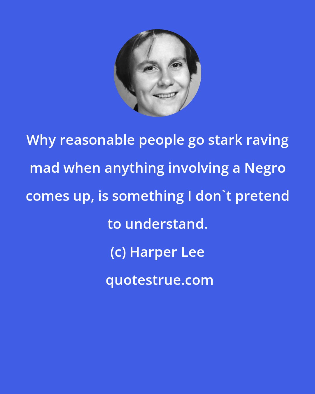Harper Lee: Why reasonable people go stark raving mad when anything involving a Negro comes up, is something I don't pretend to understand.