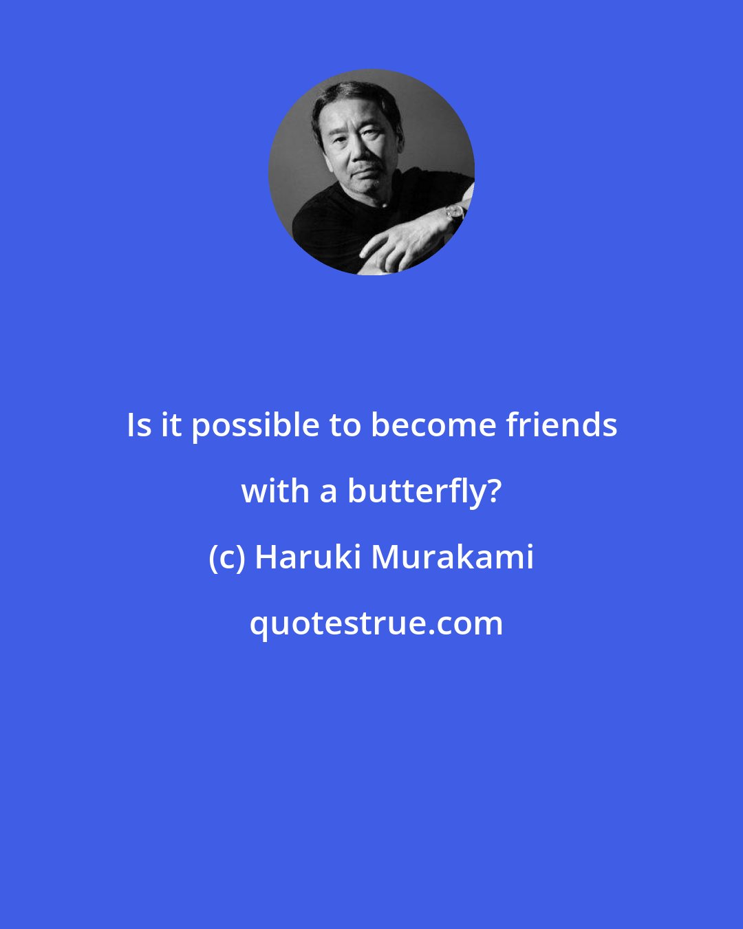 Haruki Murakami: Is it possible to become friends with a butterfly?