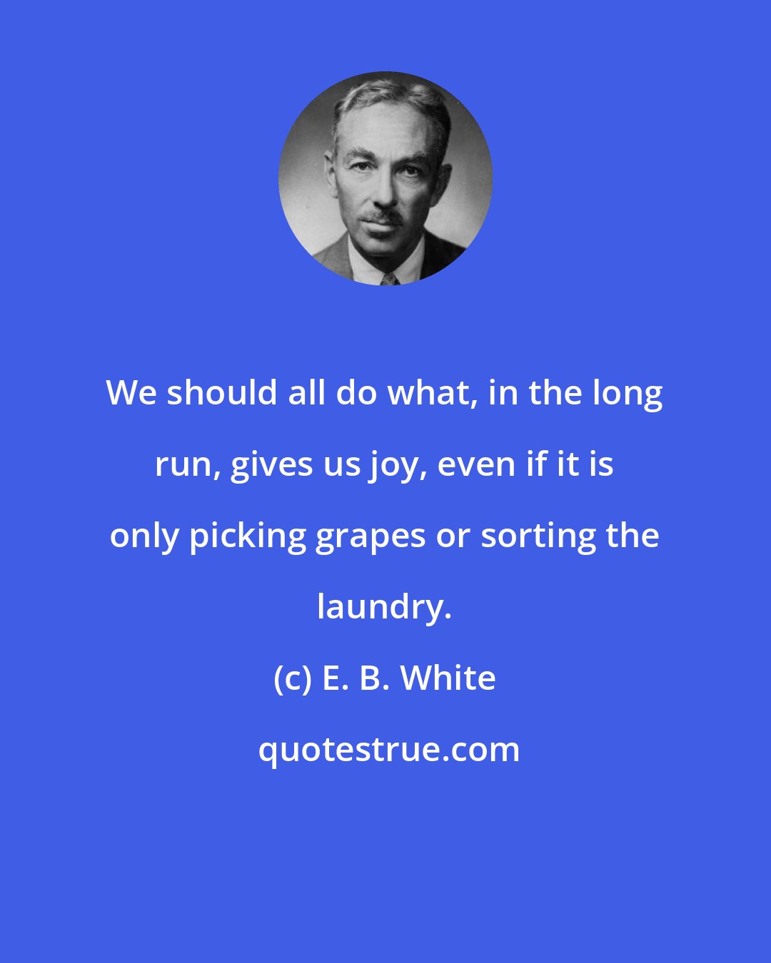 E. B. White: We should all do what, in the long run, gives us joy, even if it is only picking grapes or sorting the laundry.