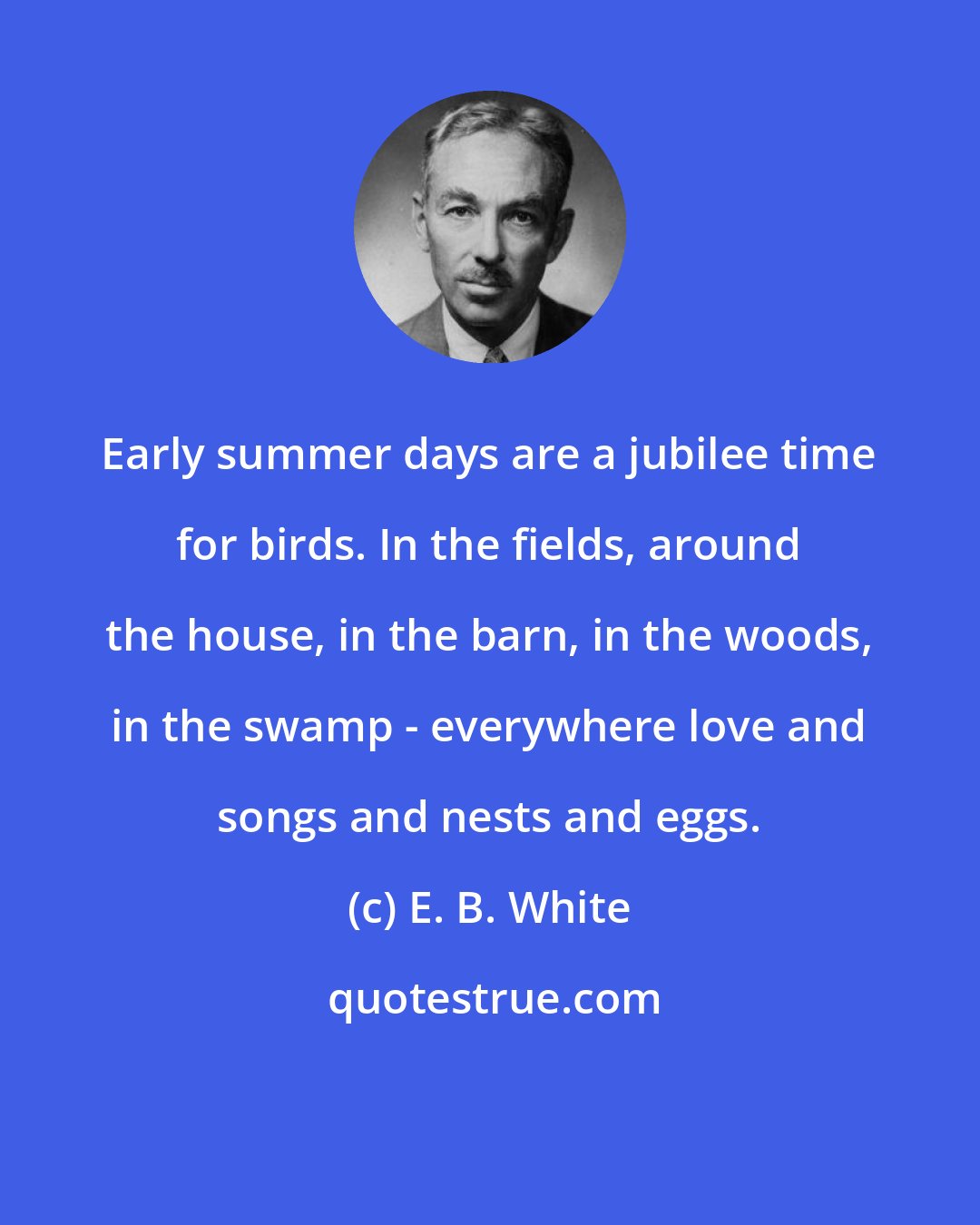 E. B. White: Early summer days are a jubilee time for birds. In the fields, around the house, in the barn, in the woods, in the swamp - everywhere love and songs and nests and eggs.