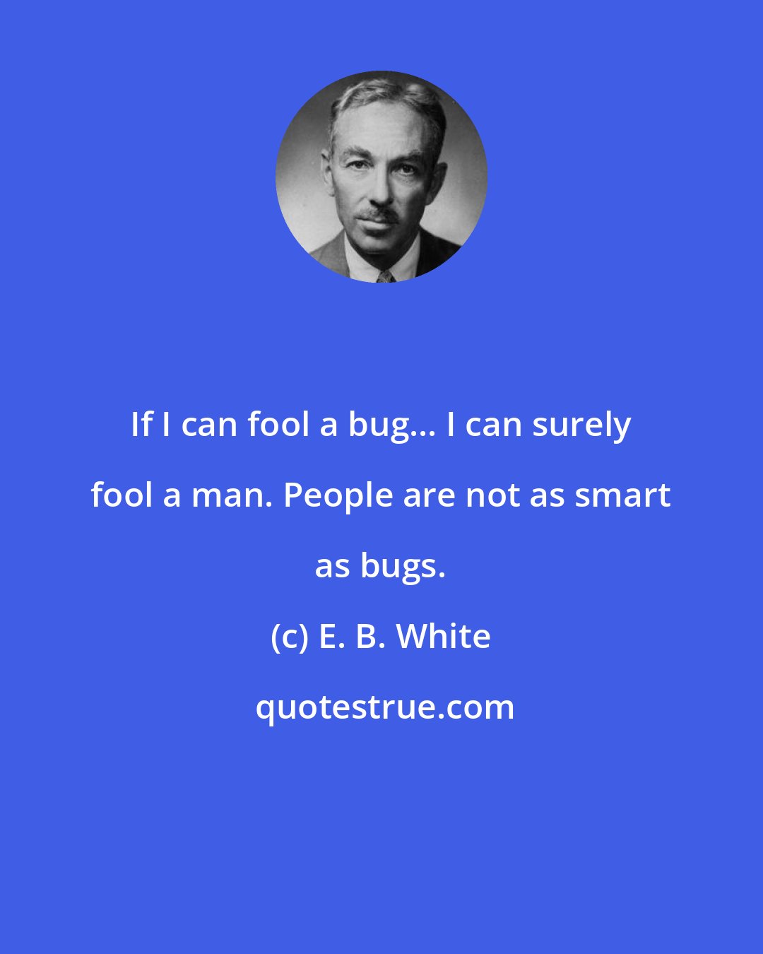 E. B. White: If I can fool a bug... I can surely fool a man. People are not as smart as bugs.