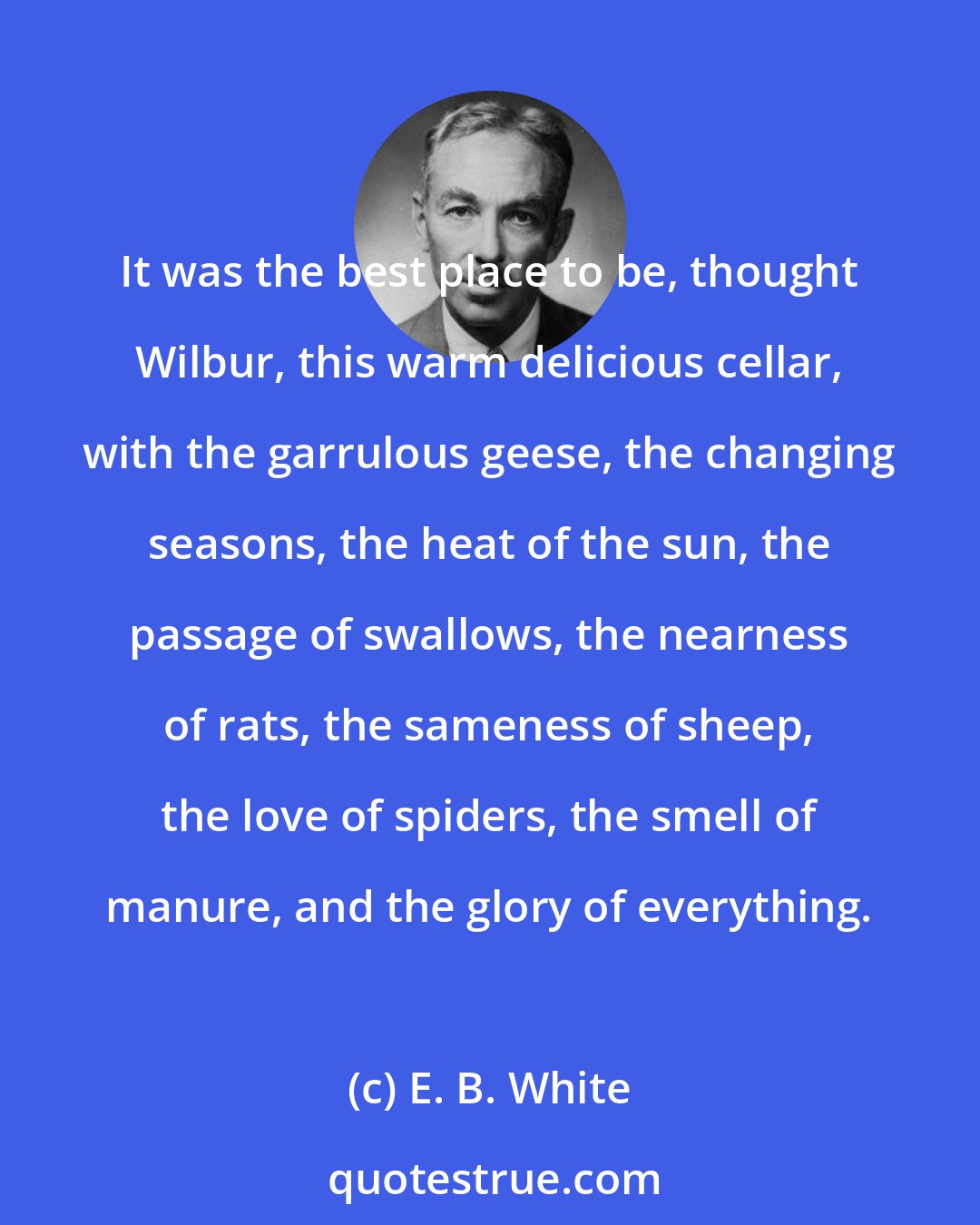 E. B. White: It was the best place to be, thought Wilbur, this warm delicious cellar, with the garrulous geese, the changing seasons, the heat of the sun, the passage of swallows, the nearness of rats, the sameness of sheep, the love of spiders, the smell of manure, and the glory of everything.