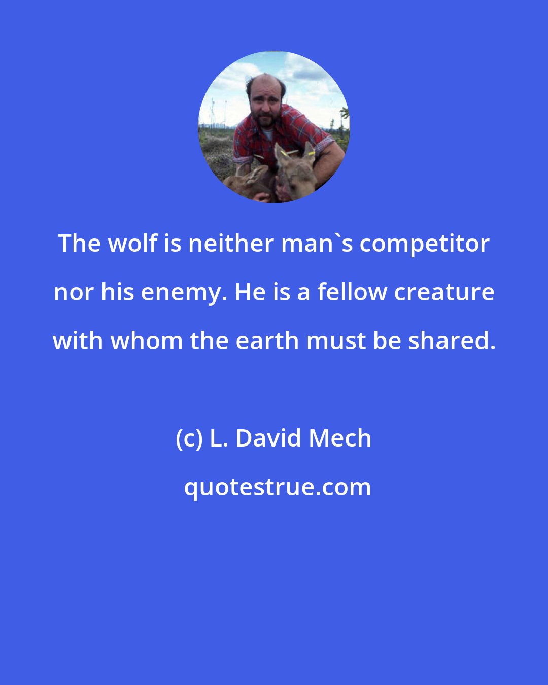 L. David Mech: The wolf is neither man's competitor nor his enemy. He is a fellow creature with whom the earth must be shared.