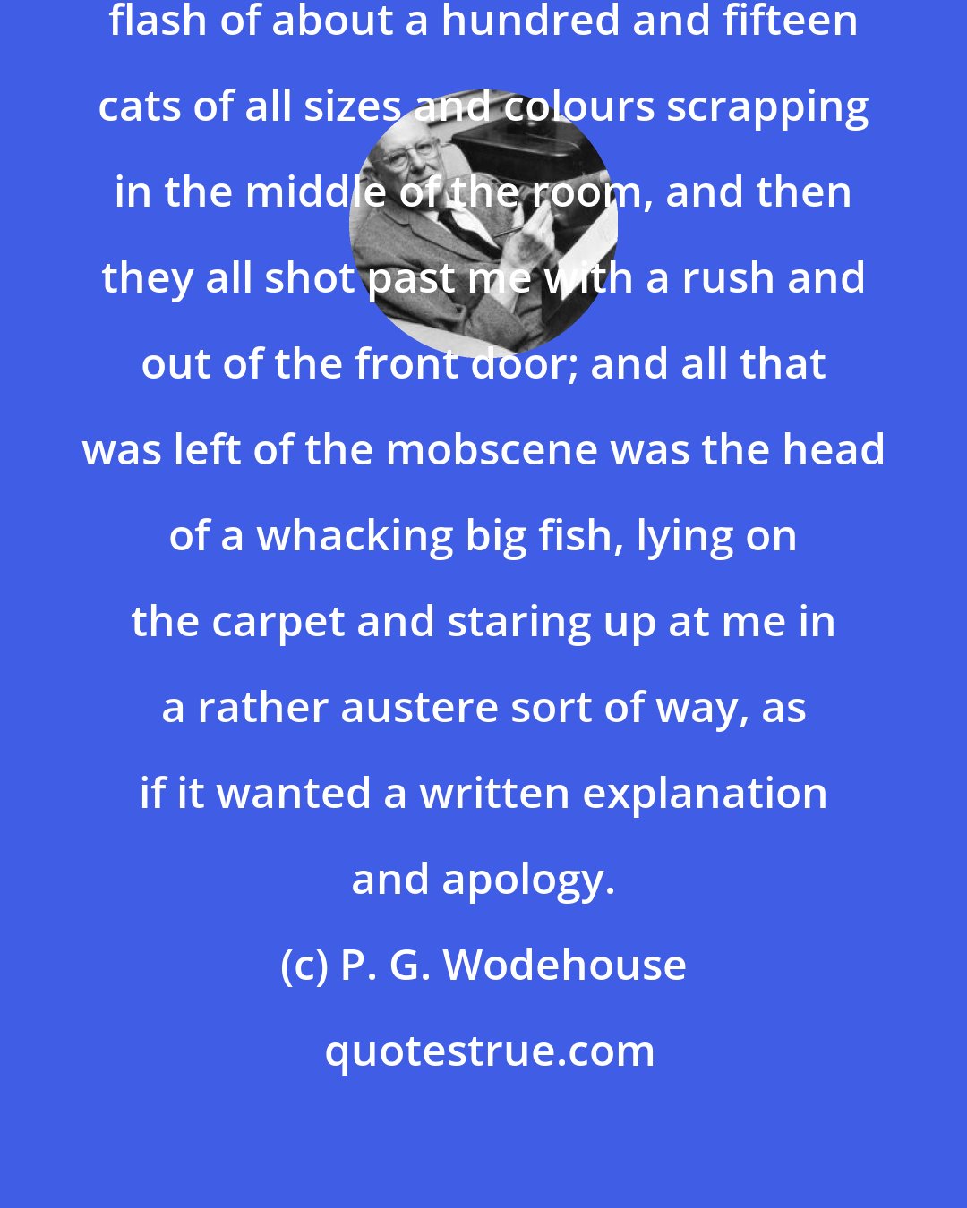 P. G. Wodehouse: I flung open the door. I got a momentary flash of about a hundred and fifteen cats of all sizes and colours scrapping in the middle of the room, and then they all shot past me with a rush and out of the front door; and all that was left of the mobscene was the head of a whacking big fish, lying on the carpet and staring up at me in a rather austere sort of way, as if it wanted a written explanation and apology.