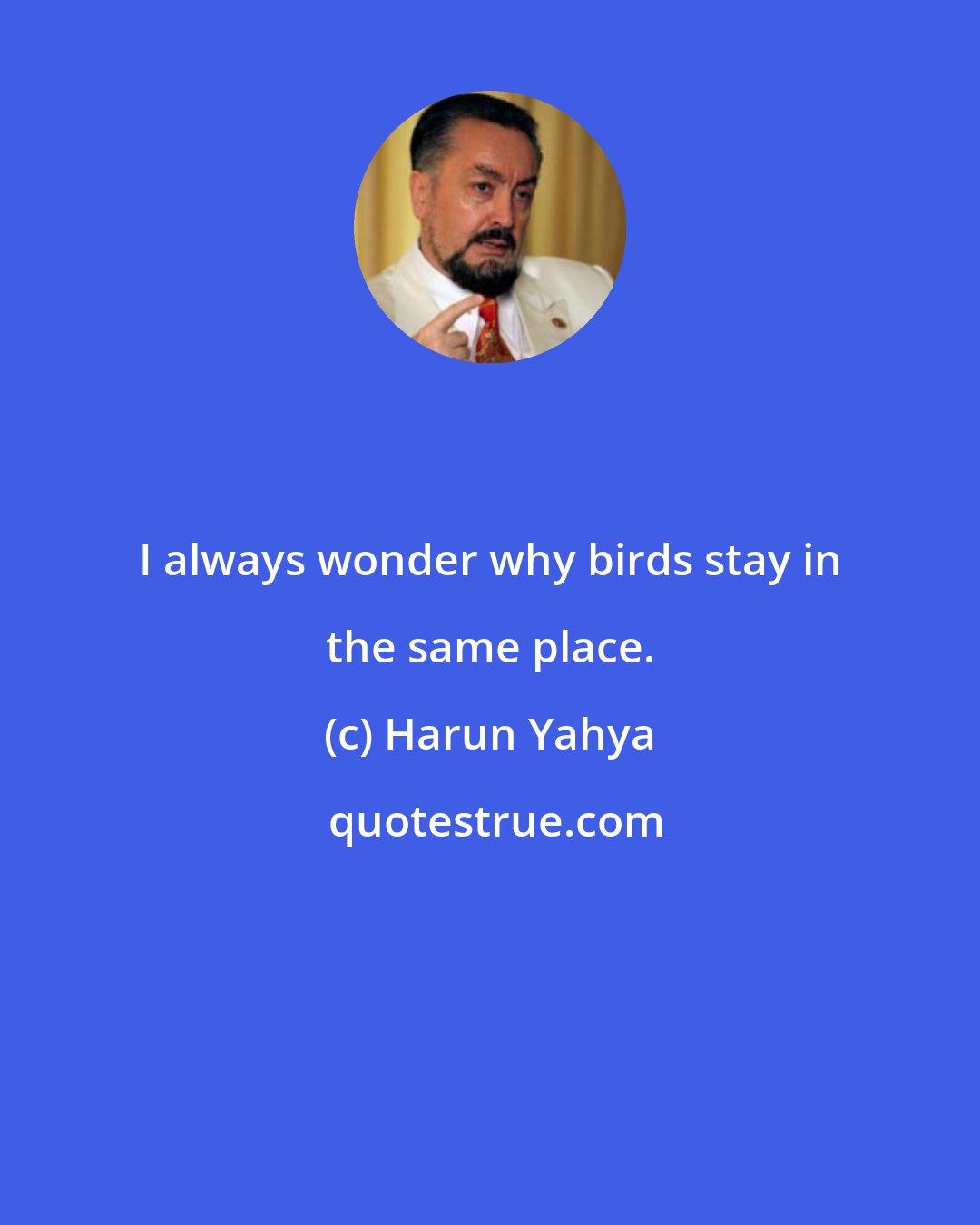 Harun Yahya: I always wonder why birds stay in the same place.