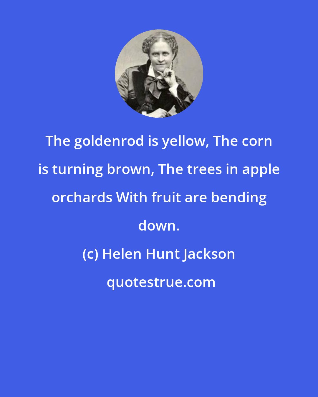 Helen Hunt Jackson: The goldenrod is yellow, The corn is turning brown, The trees in apple orchards With fruit are bending down.