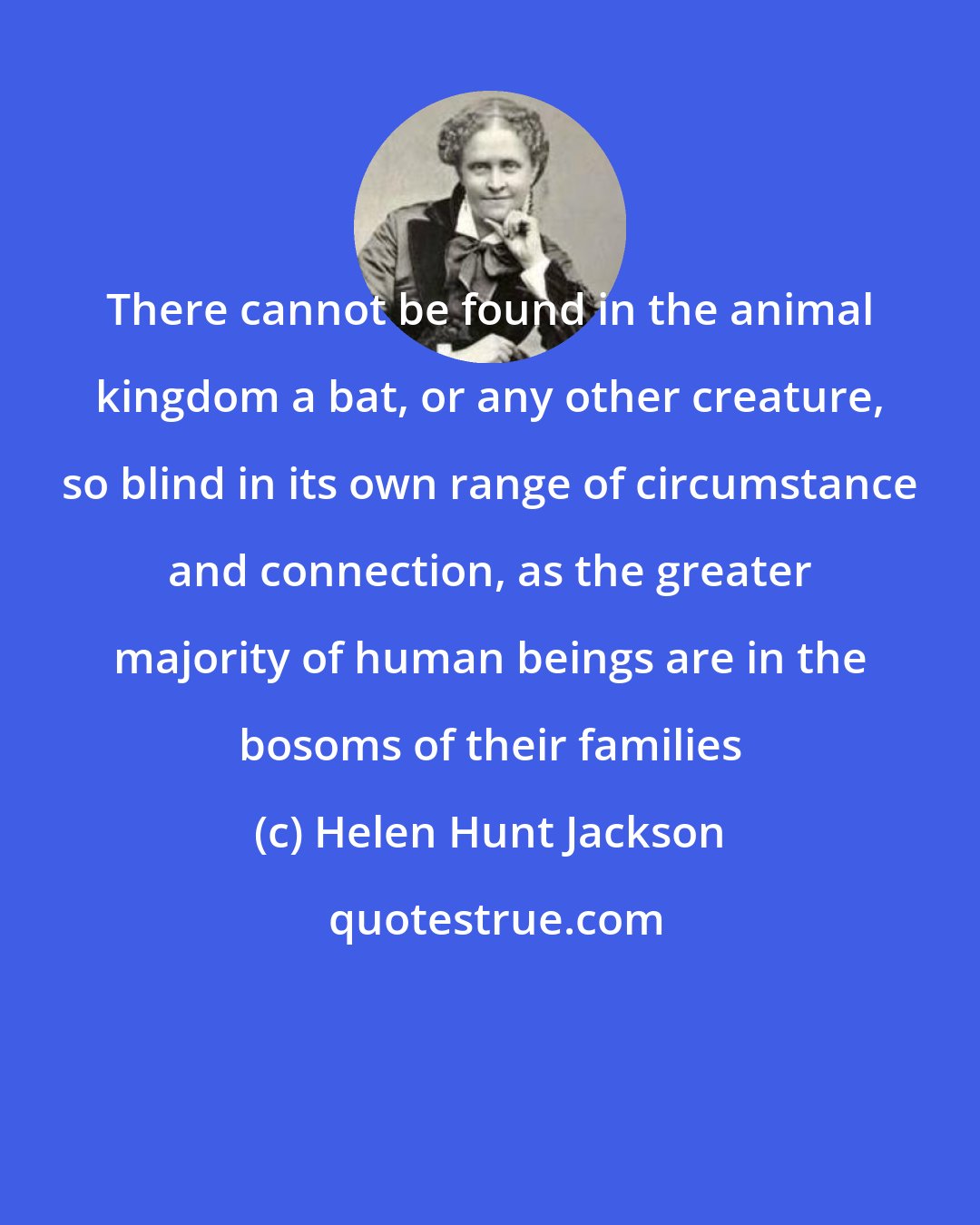 Helen Hunt Jackson: There cannot be found in the animal kingdom a bat, or any other creature, so blind in its own range of circumstance and connection, as the greater majority of human beings are in the bosoms of their families