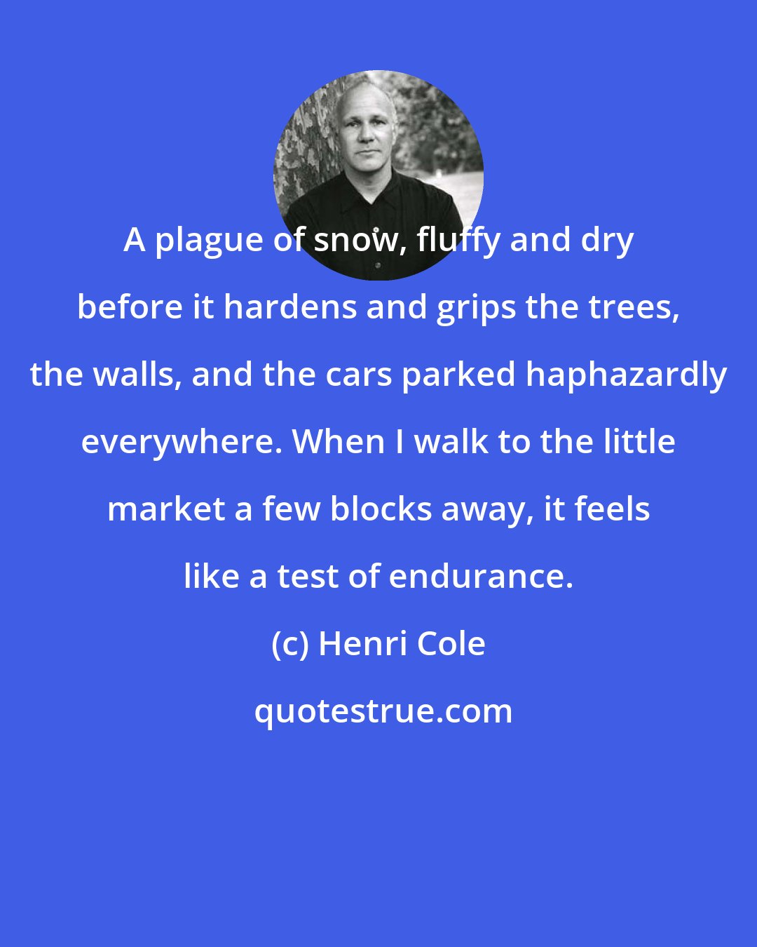 Henri Cole: A plague of snow, fluffy and dry before it hardens and grips the trees, the walls, and the cars parked haphazardly everywhere. When I walk to the little market a few blocks away, it feels like a test of endurance.