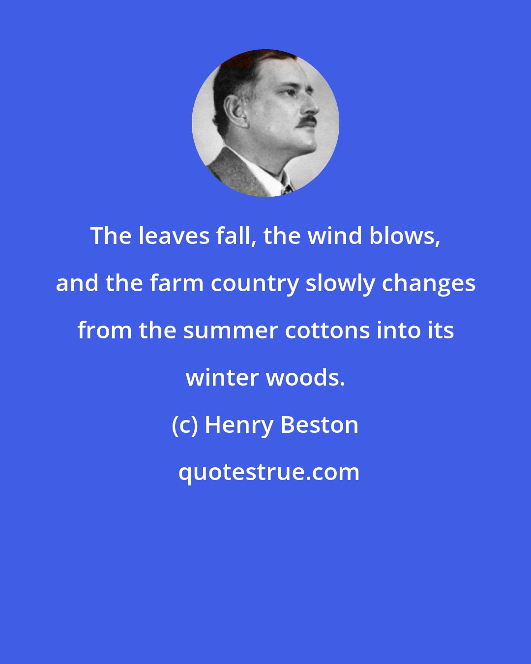 Henry Beston: The leaves fall, the wind blows, and the farm country slowly changes from the summer cottons into its winter woods.