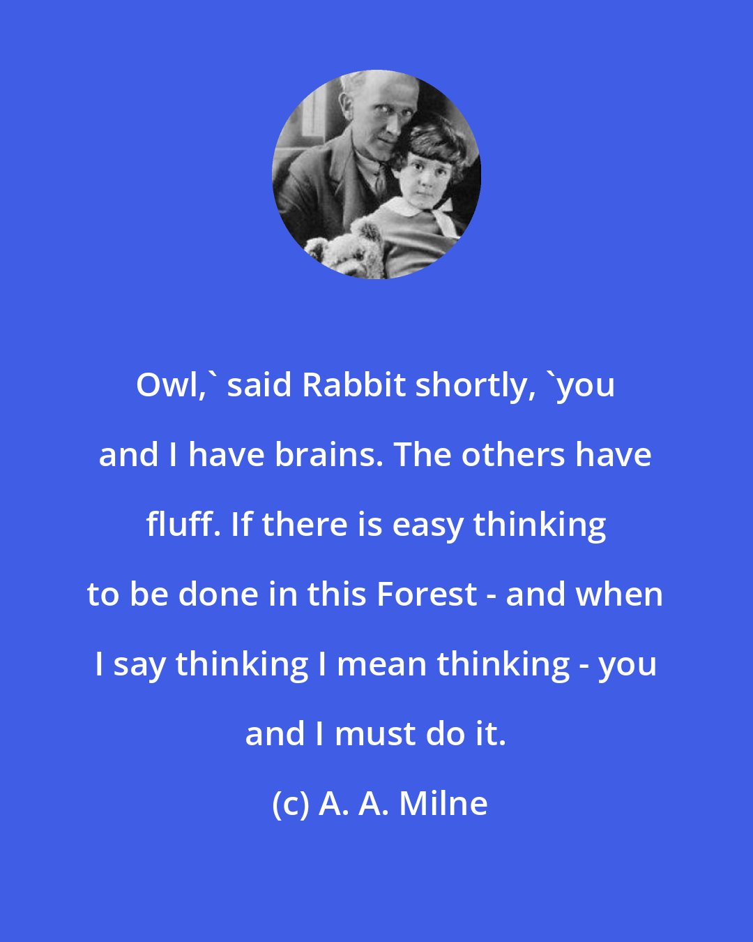 A. A. Milne: Owl,' said Rabbit shortly, 'you and I have brains. The others have fluff. If there is easy thinking to be done in this Forest - and when I say thinking I mean thinking - you and I must do it.