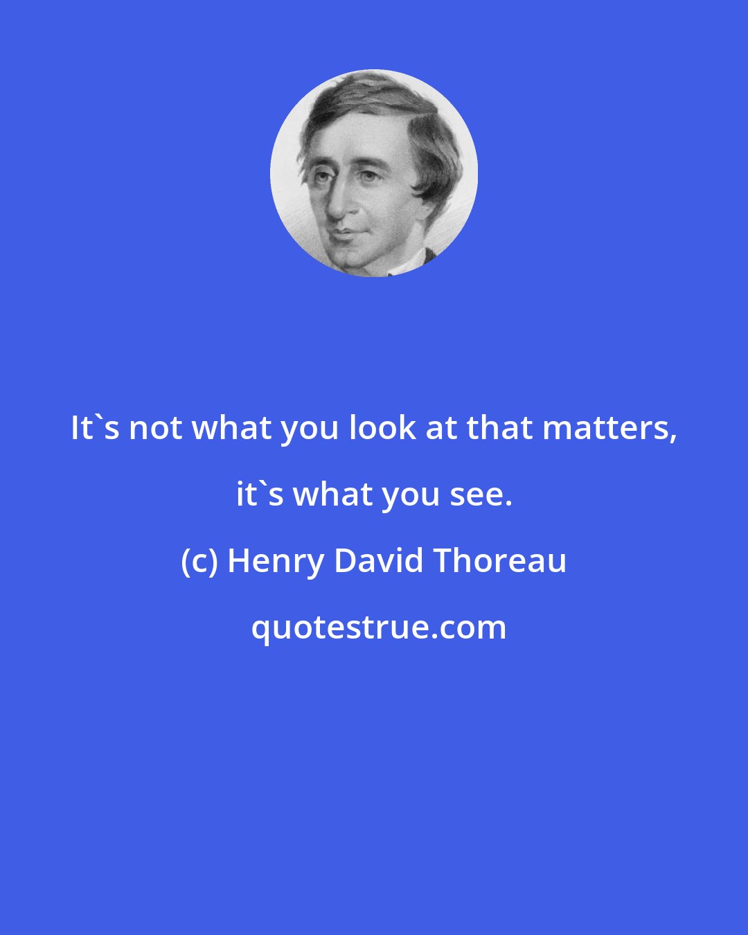 Henry David Thoreau: It's not what you look at that matters, it's what you see.