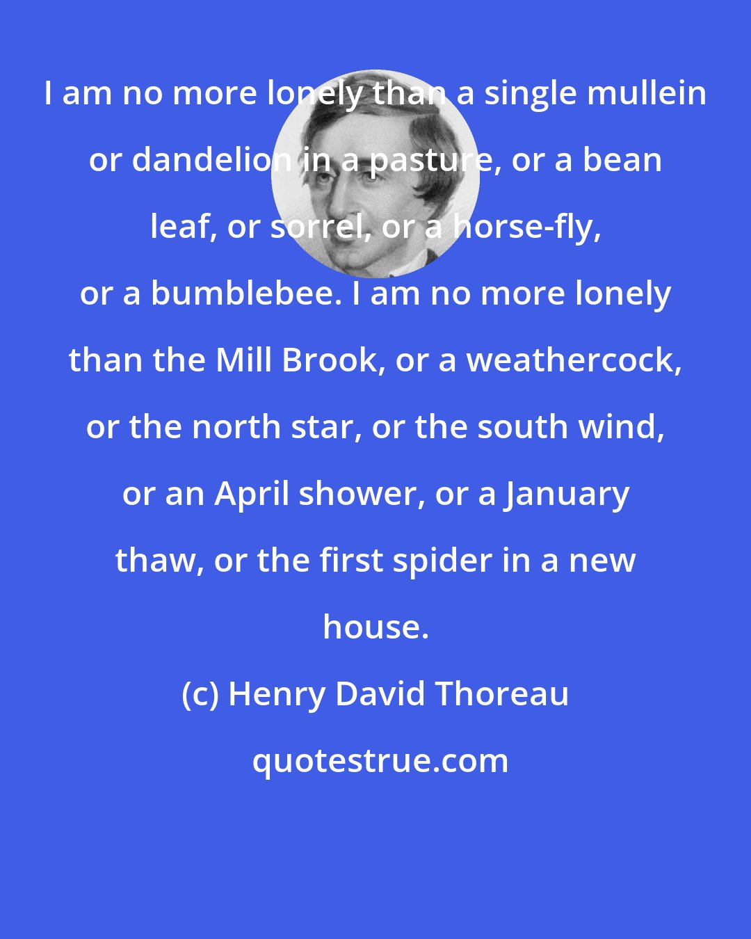Henry David Thoreau: I am no more lonely than a single mullein or dandelion in a pasture, or a bean leaf, or sorrel, or a horse-fly, or a bumblebee. I am no more lonely than the Mill Brook, or a weathercock, or the north star, or the south wind, or an April shower, or a January thaw, or the first spider in a new house.