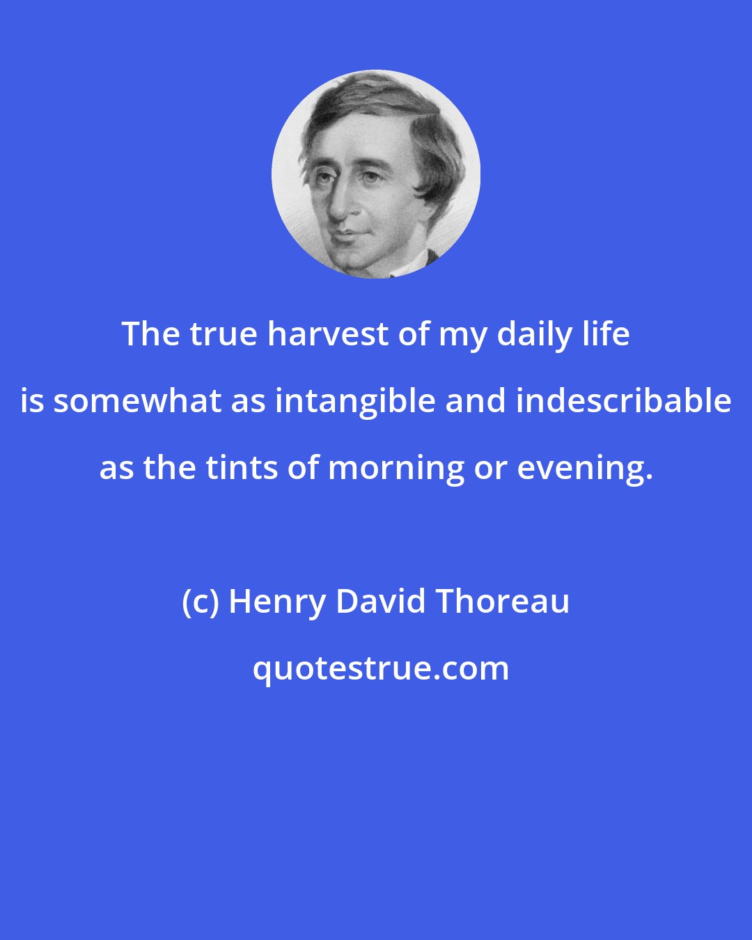 Henry David Thoreau: The true harvest of my daily life is somewhat as intangible and indescribable as the tints of morning or evening.