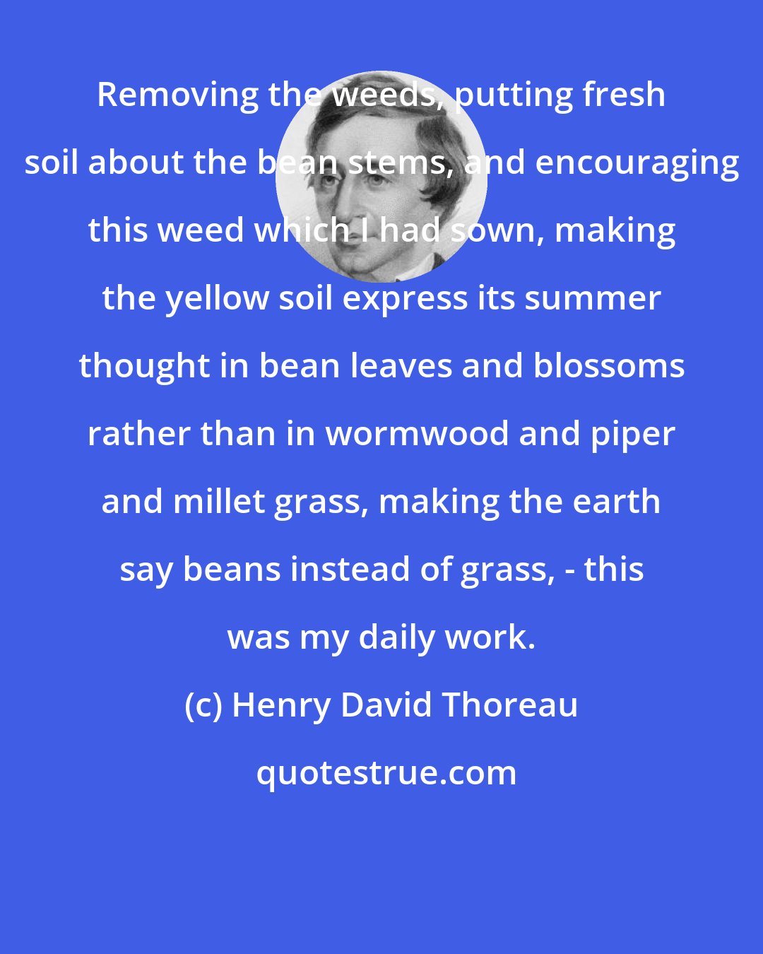 Henry David Thoreau: Removing the weeds, putting fresh soil about the bean stems, and encouraging this weed which I had sown, making the yellow soil express its summer thought in bean leaves and blossoms rather than in wormwood and piper and millet grass, making the earth say beans instead of grass, - this was my daily work.