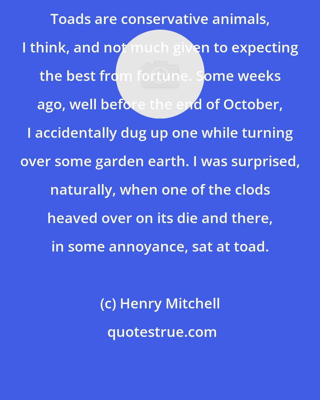 Henry Mitchell: Toads are conservative animals, I think, and not much given to expecting the best from fortune. Some weeks ago, well before the end of October, I accidentally dug up one while turning over some garden earth. I was surprised, naturally, when one of the clods heaved over on its die and there, in some annoyance, sat at toad.