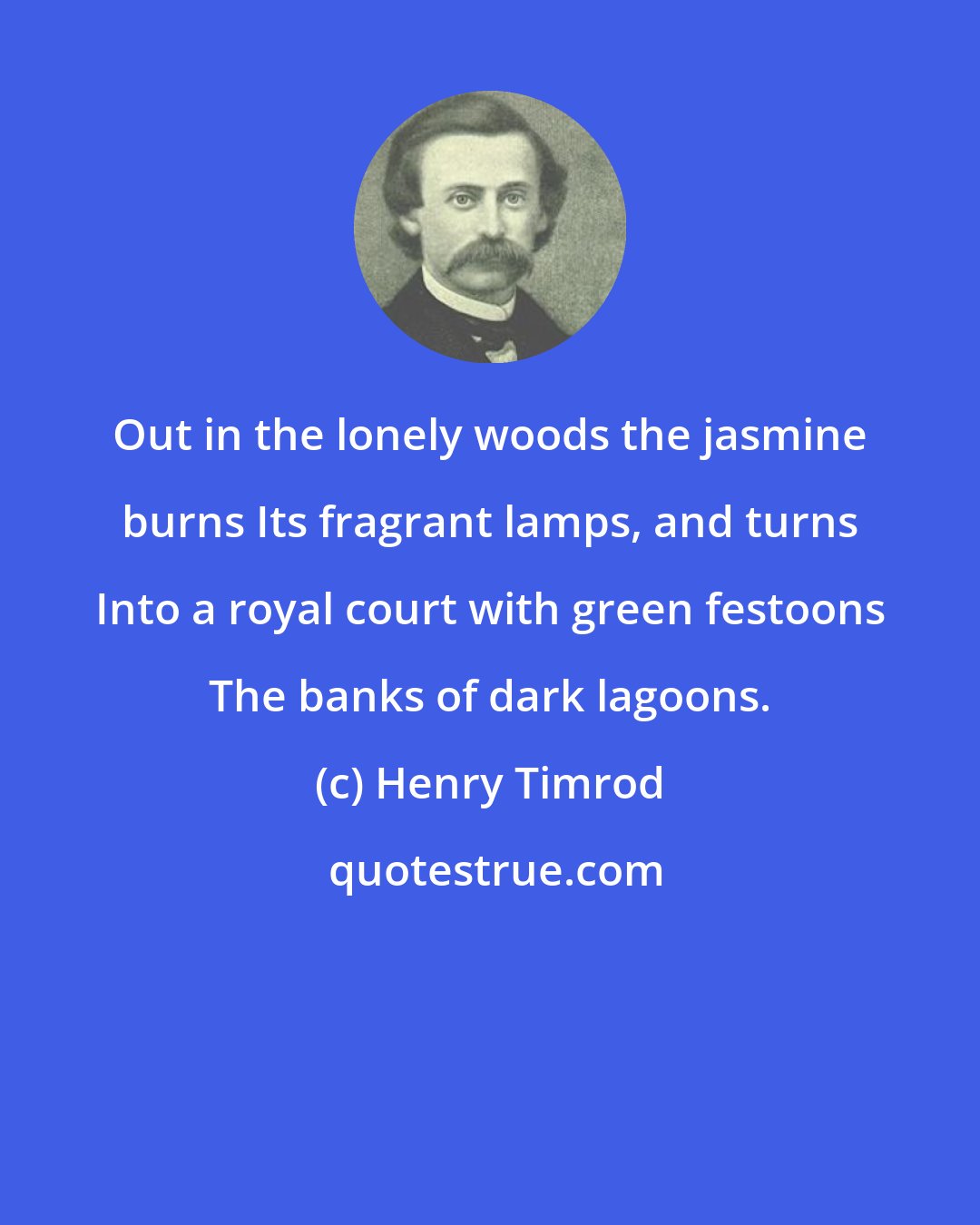 Henry Timrod: Out in the lonely woods the jasmine burns Its fragrant lamps, and turns Into a royal court with green festoons The banks of dark lagoons.