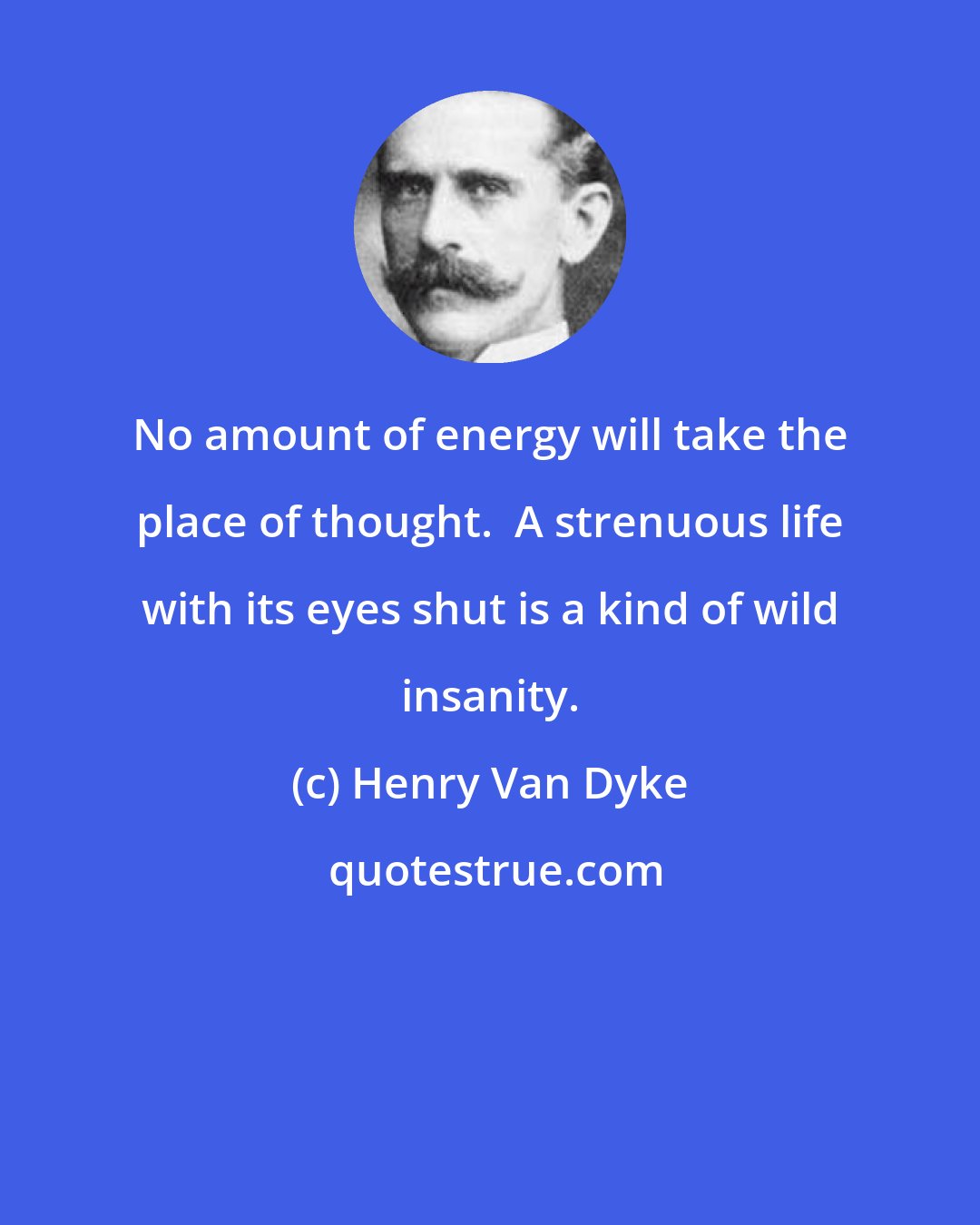 Henry Van Dyke: No amount of energy will take the place of thought.  A strenuous life with its eyes shut is a kind of wild insanity.