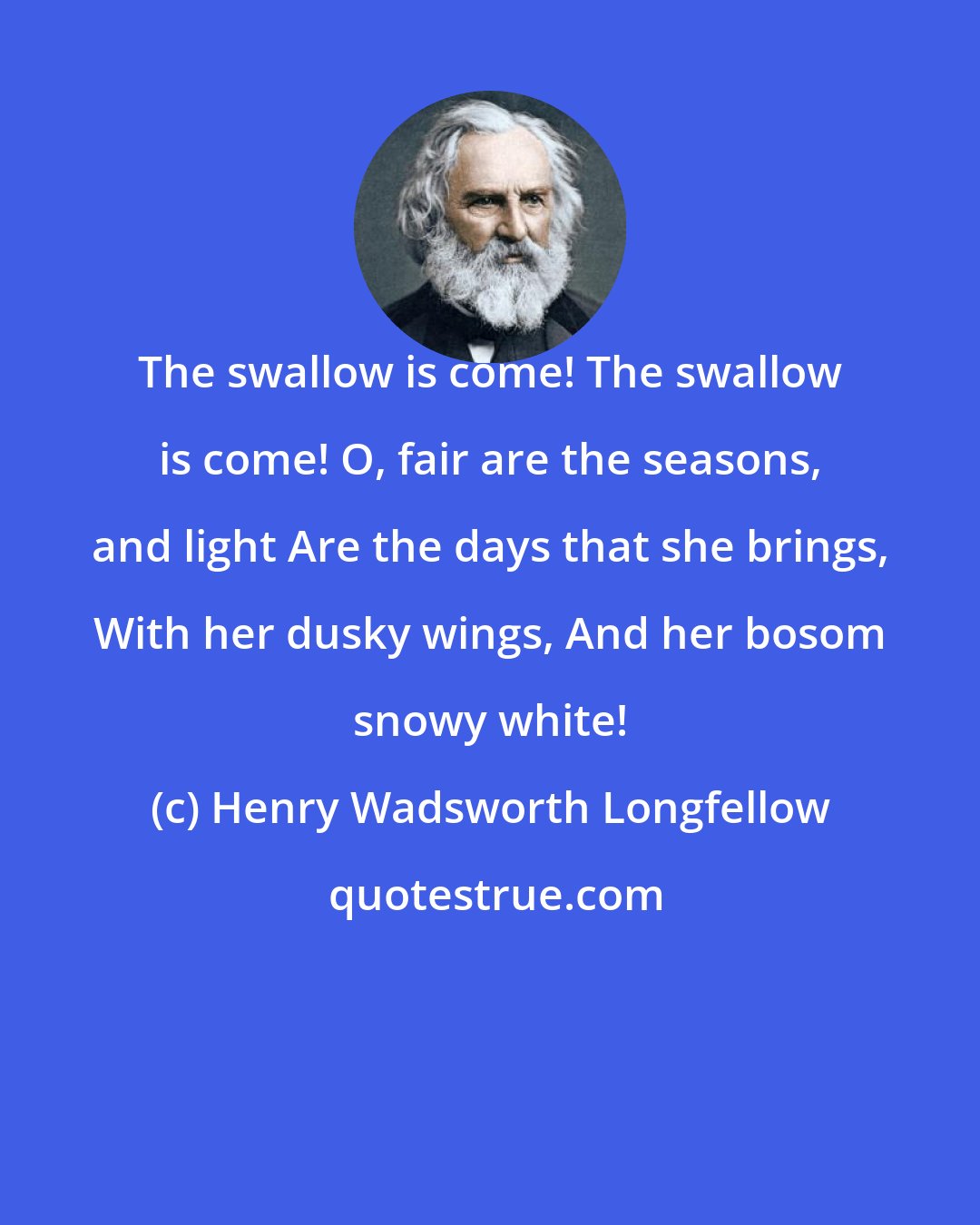 Henry Wadsworth Longfellow: The swallow is come! The swallow is come! O, fair are the seasons, and light Are the days that she brings, With her dusky wings, And her bosom snowy white!