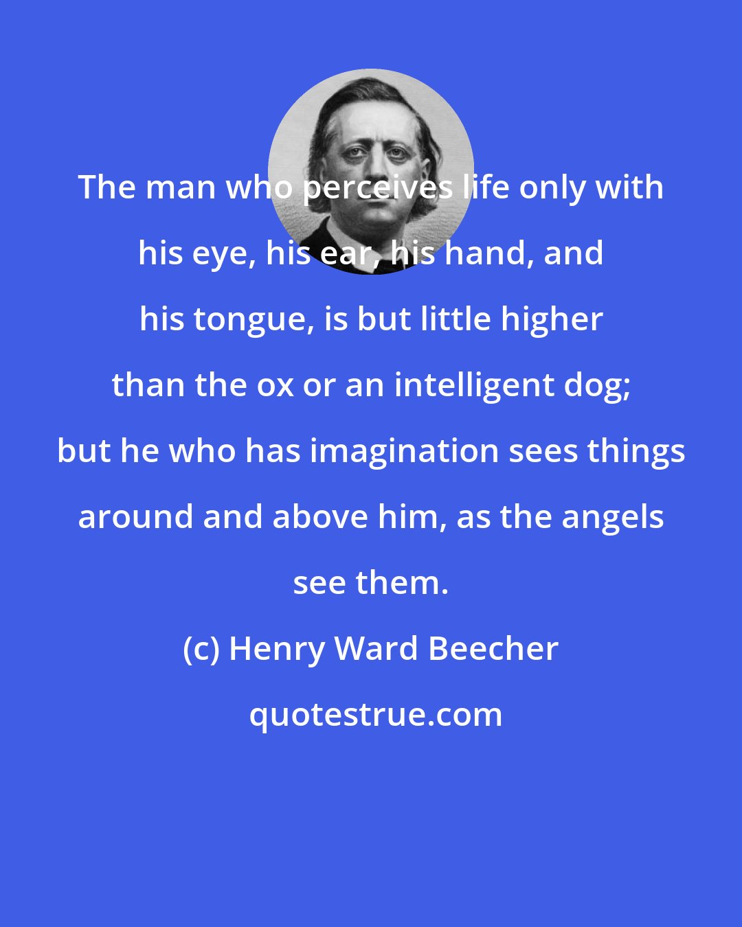 Henry Ward Beecher: The man who perceives life only with his eye, his ear, his hand, and his tongue, is but little higher than the ox or an intelligent dog; but he who has imagination sees things around and above him, as the angels see them.