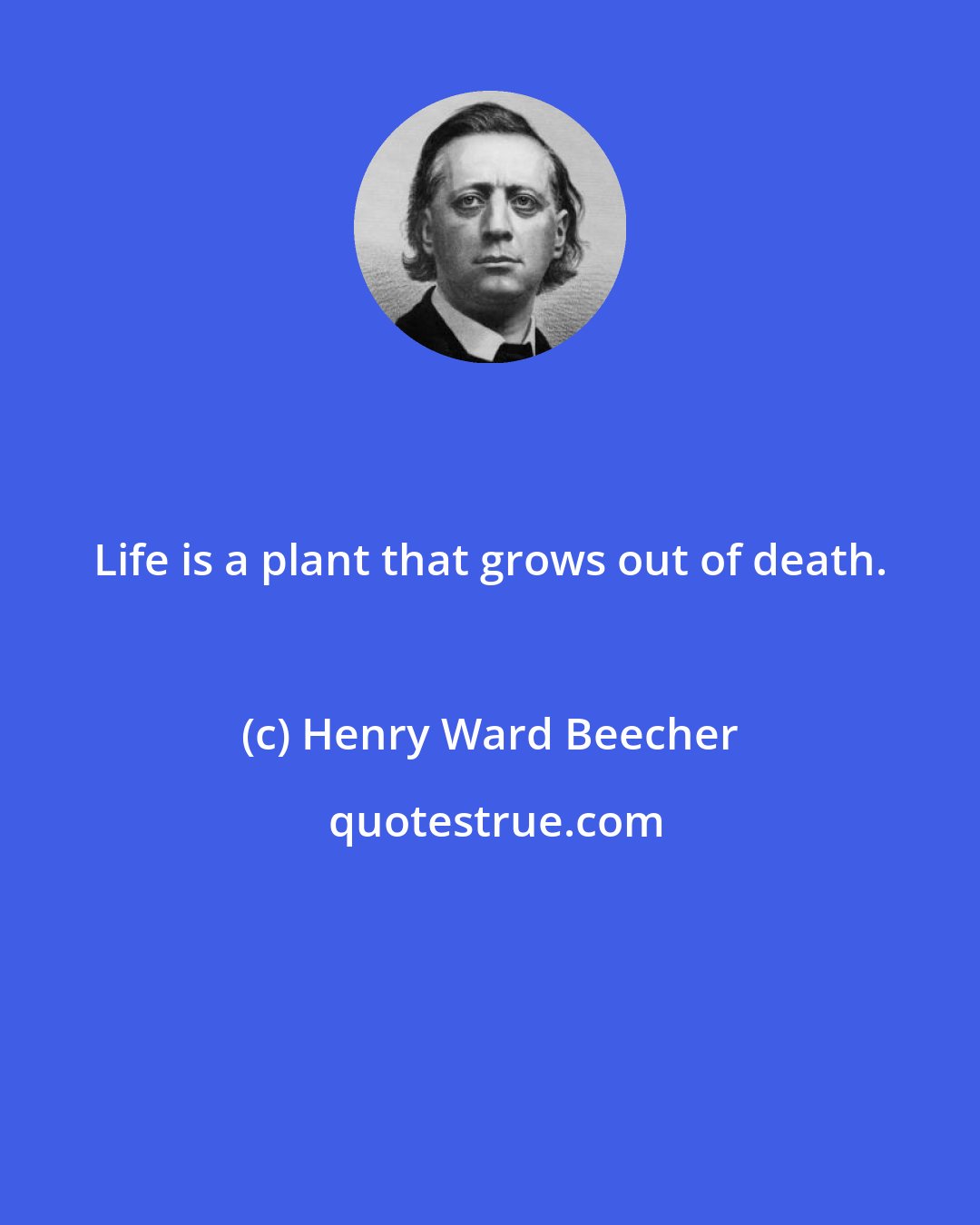 Henry Ward Beecher: Life is a plant that grows out of death.