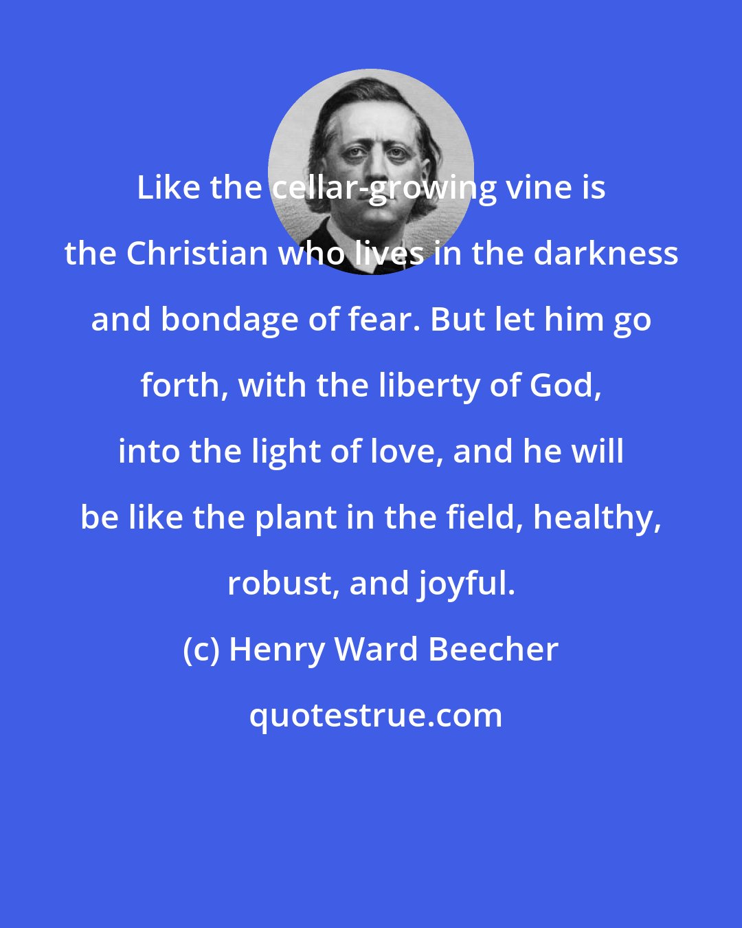 Henry Ward Beecher: Like the cellar-growing vine is the Christian who lives in the darkness and bondage of fear. But let him go forth, with the liberty of God, into the light of love, and he will be like the plant in the field, healthy, robust, and joyful.