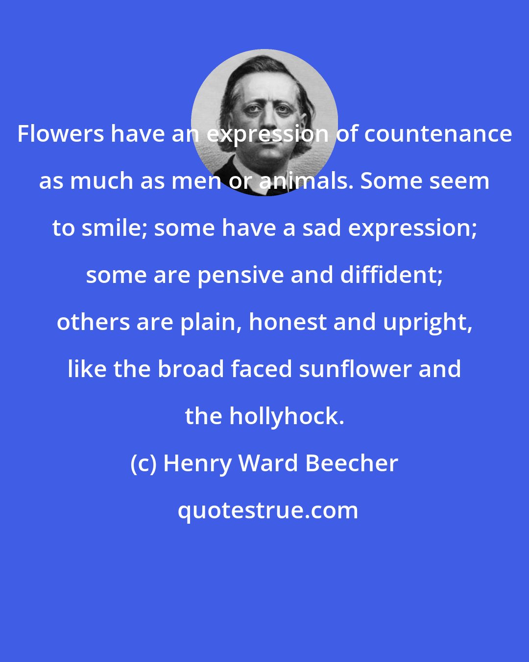 Henry Ward Beecher: Flowers have an expression of countenance as much as men or animals. Some seem to smile; some have a sad expression; some are pensive and diffident; others are plain, honest and upright, like the broad faced sunflower and the hollyhock.
