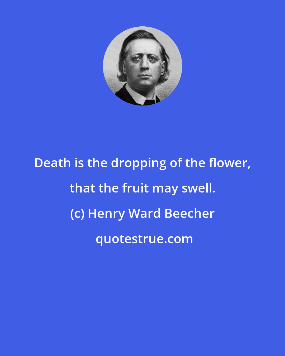 Henry Ward Beecher: Death is the dropping of the flower, that the fruit may swell.