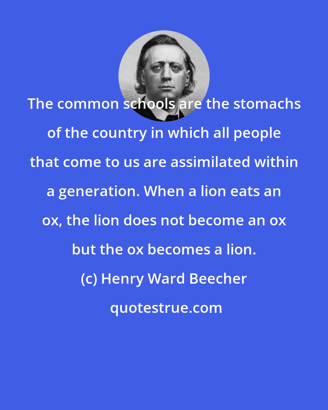 Henry Ward Beecher: The common schools are the stomachs of the country in which all people that come to us are assimilated within a generation. When a lion eats an ox, the lion does not become an ox but the ox becomes a lion.