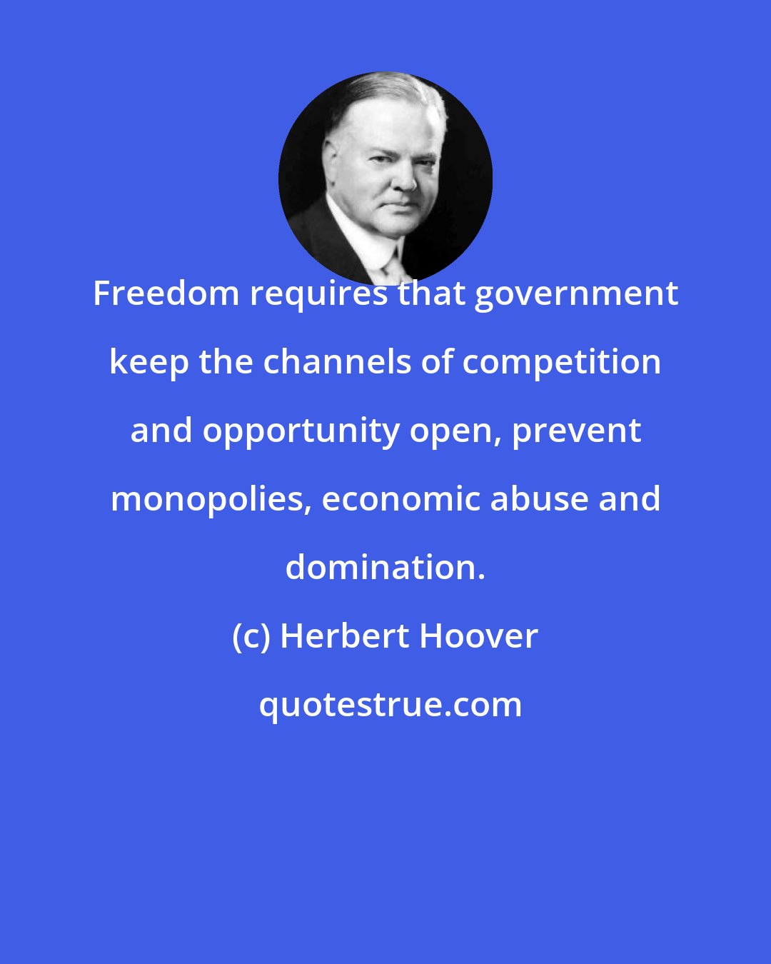 Herbert Hoover: Freedom requires that government keep the channels of competition and opportunity open, prevent monopolies, economic abuse and domination.