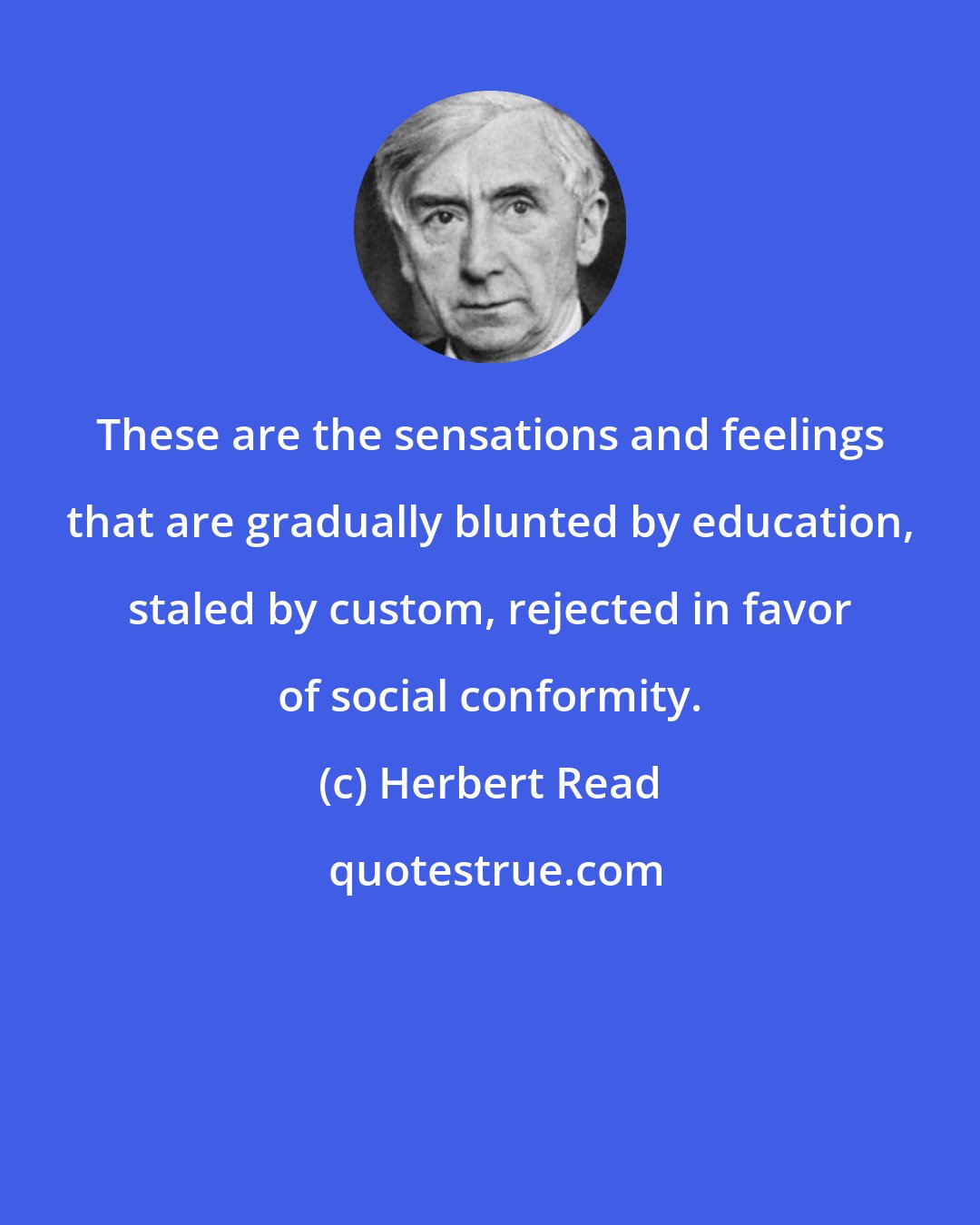 Herbert Read: These are the sensations and feelings that are gradually blunted by education, staled by custom, rejected in favor of social conformity.