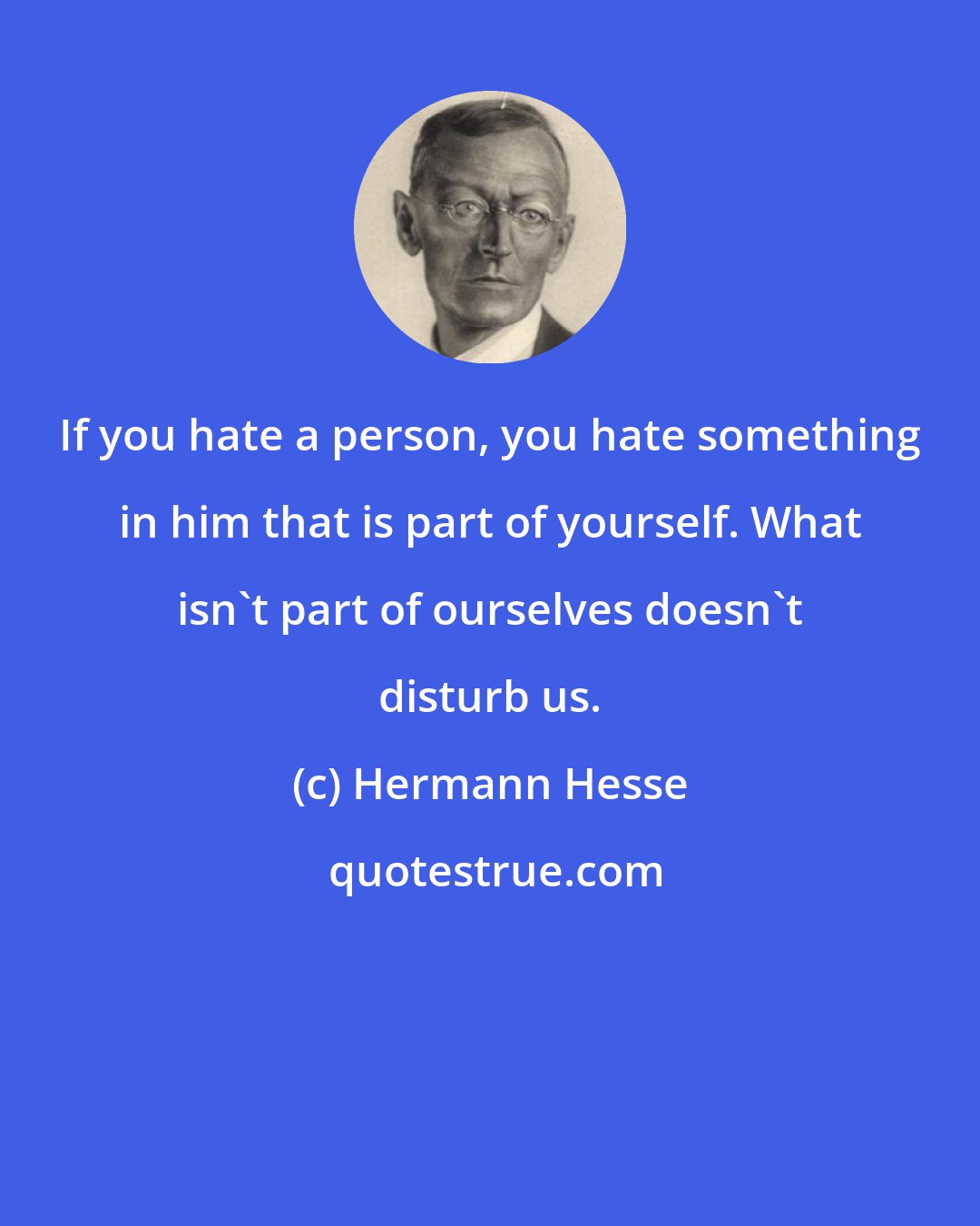 Hermann Hesse: If you hate a person, you hate something in him that is part of yourself. What isn't part of ourselves doesn't disturb us.