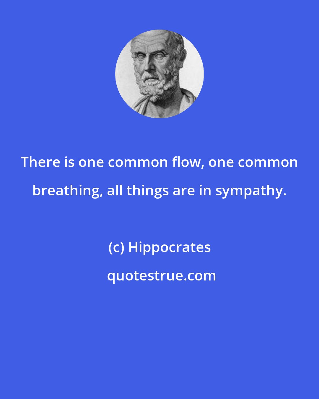 Hippocrates: There is one common flow, one common breathing, all things are in sympathy.