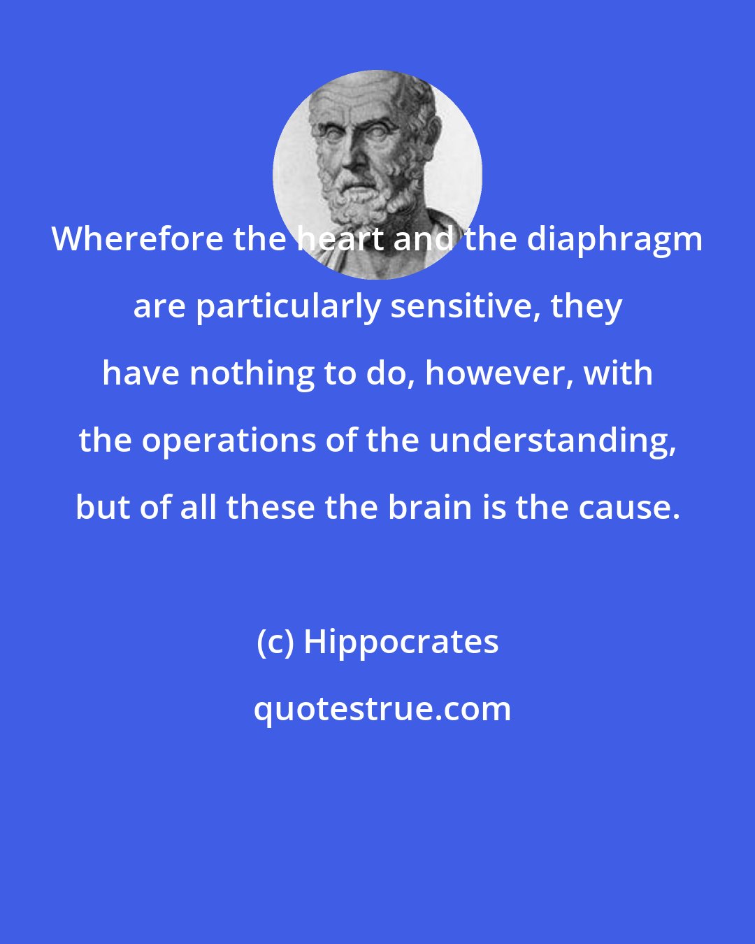 Hippocrates: Wherefore the heart and the diaphragm are particularly sensitive, they have nothing to do, however, with the operations of the understanding, but of all these the brain is the cause.