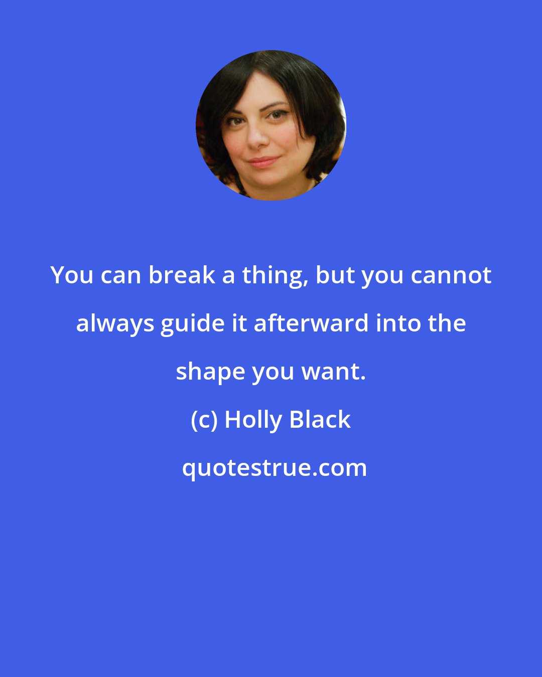 Holly Black: You can break a thing, but you cannot always guide it afterward into the shape you want.