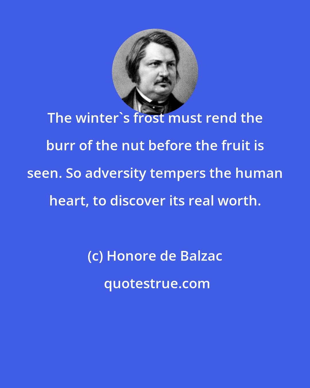 Honore de Balzac: The winter's frost must rend the burr of the nut before the fruit is seen. So adversity tempers the human heart, to discover its real worth.