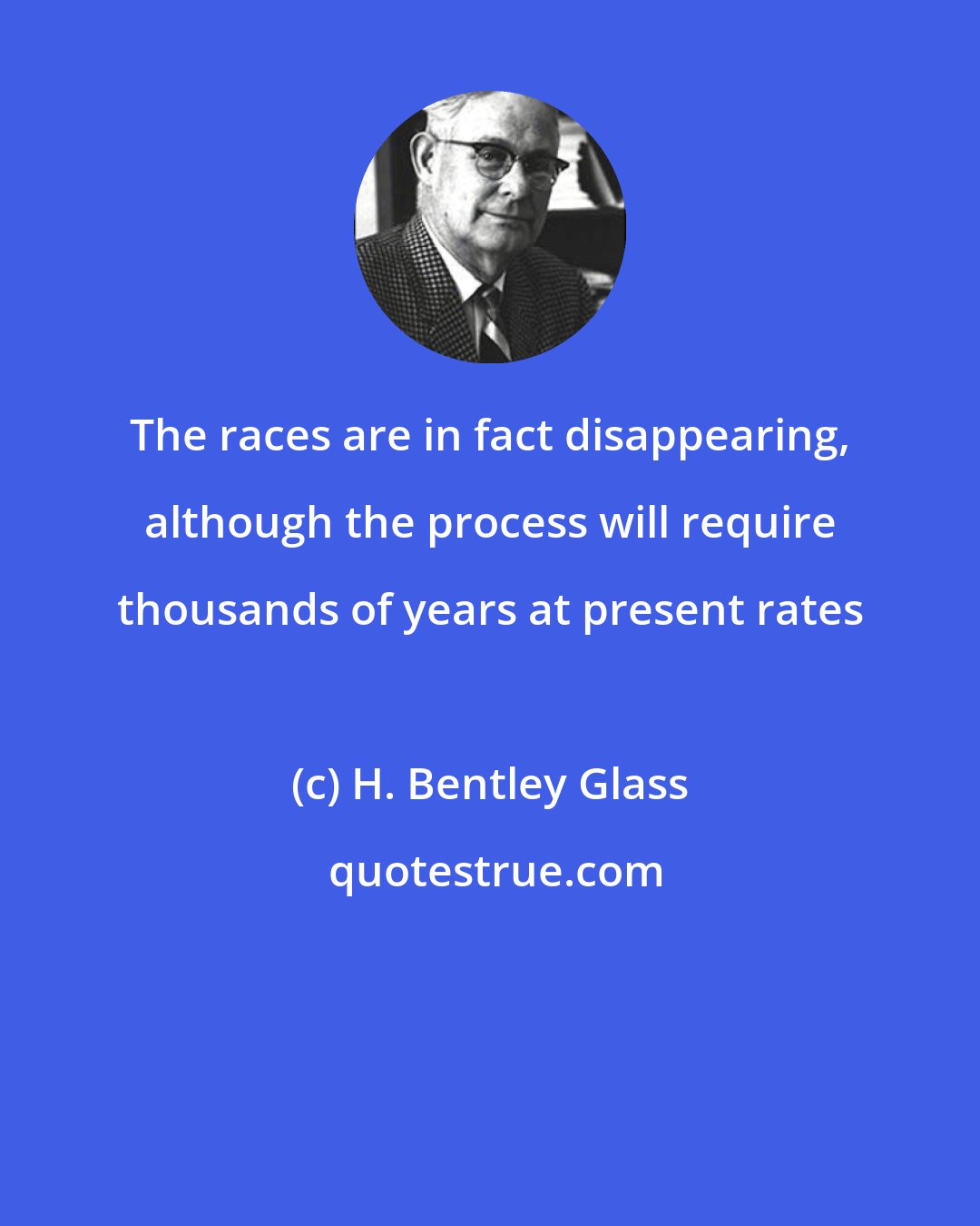 H. Bentley Glass: The races are in fact disappearing, although the process will require thousands of years at present rates