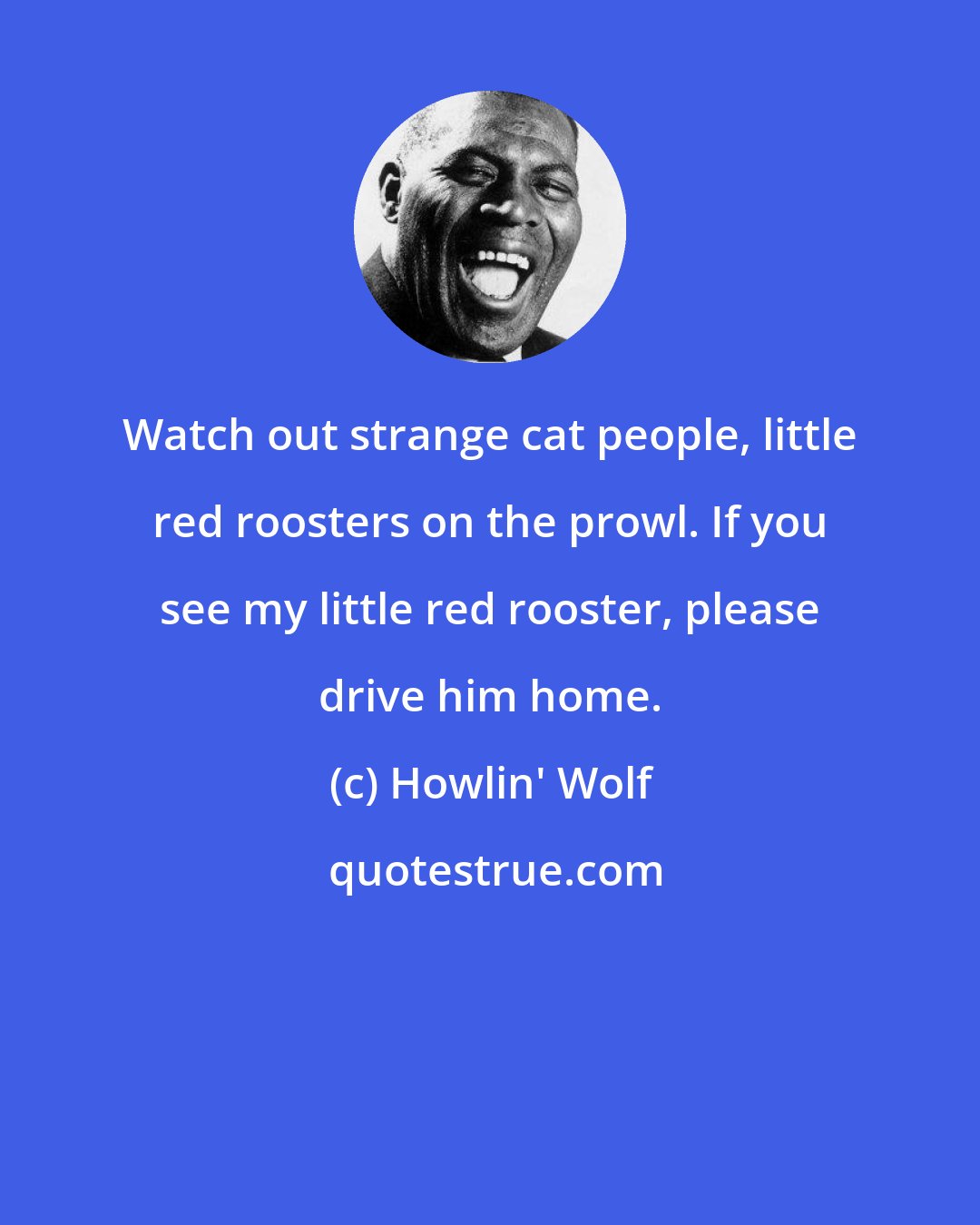 Howlin' Wolf: Watch out strange cat people, little red roosters on the prowl. If you see my little red rooster, please drive him home.