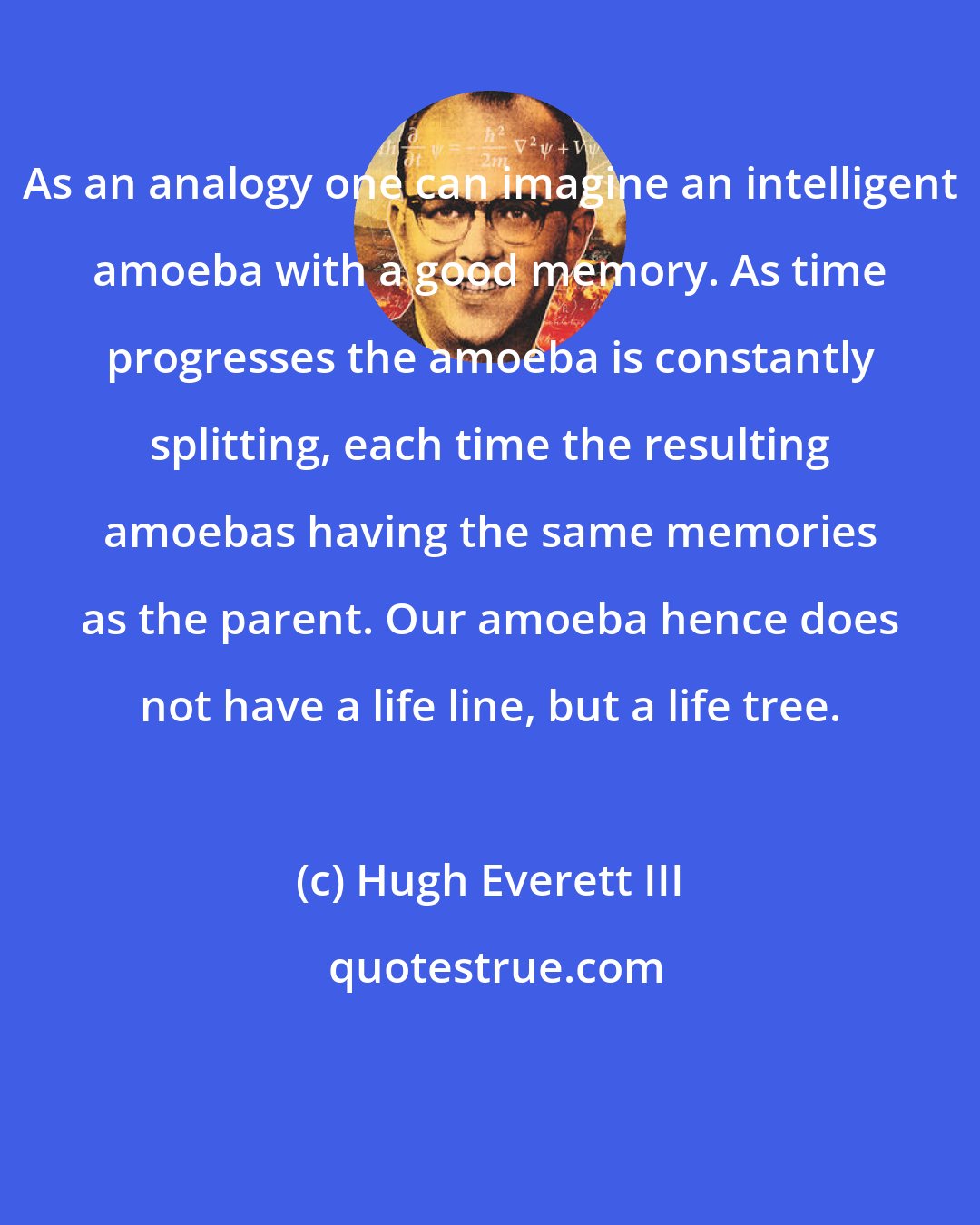 Hugh Everett III: As an analogy one can imagine an intelligent amoeba with a good memory. As time progresses the amoeba is constantly splitting, each time the resulting amoebas having the same memories as the parent. Our amoeba hence does not have a life line, but a life tree.