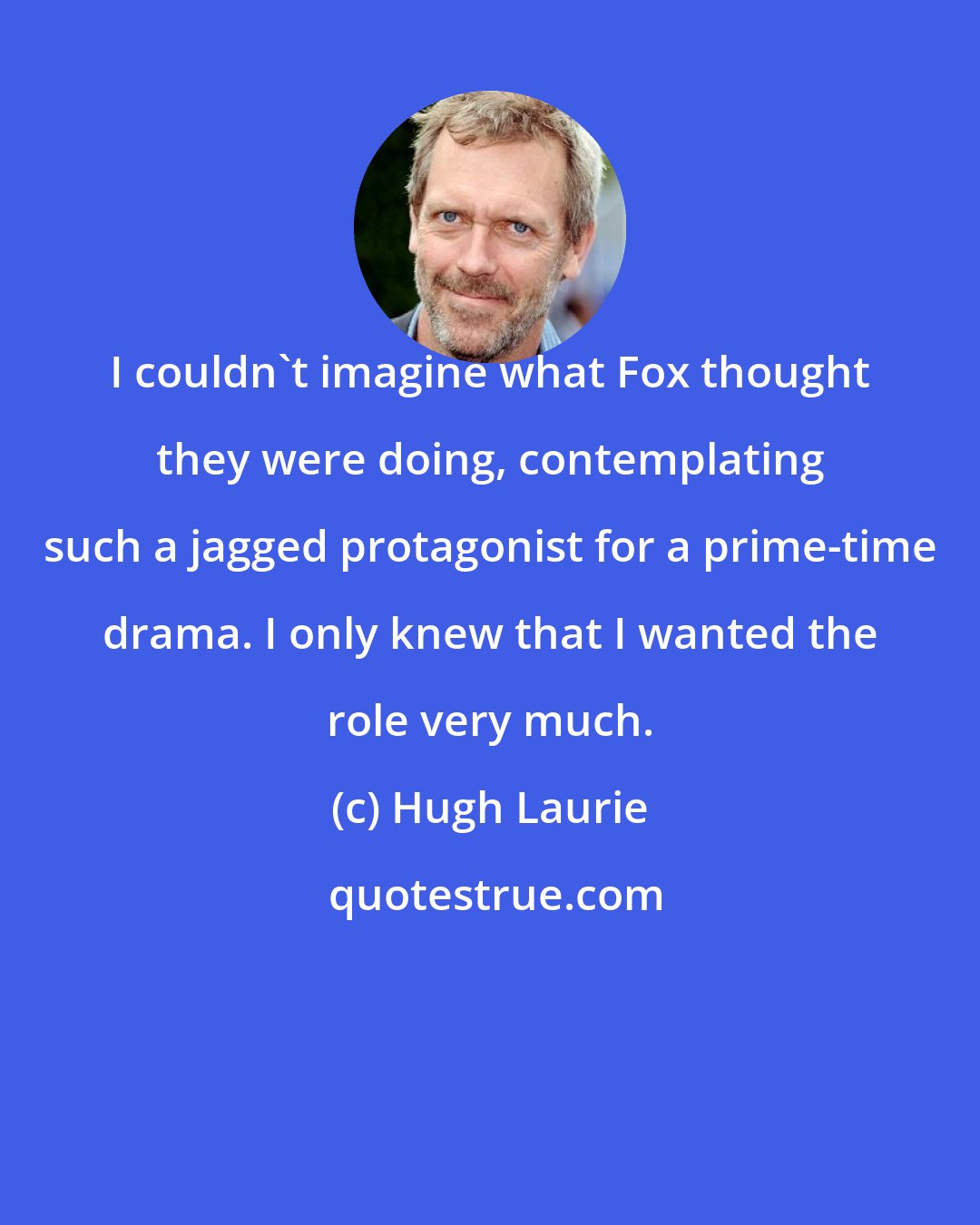 Hugh Laurie: I couldn't imagine what Fox thought they were doing, contemplating such a jagged protagonist for a prime-time drama. I only knew that I wanted the role very much.