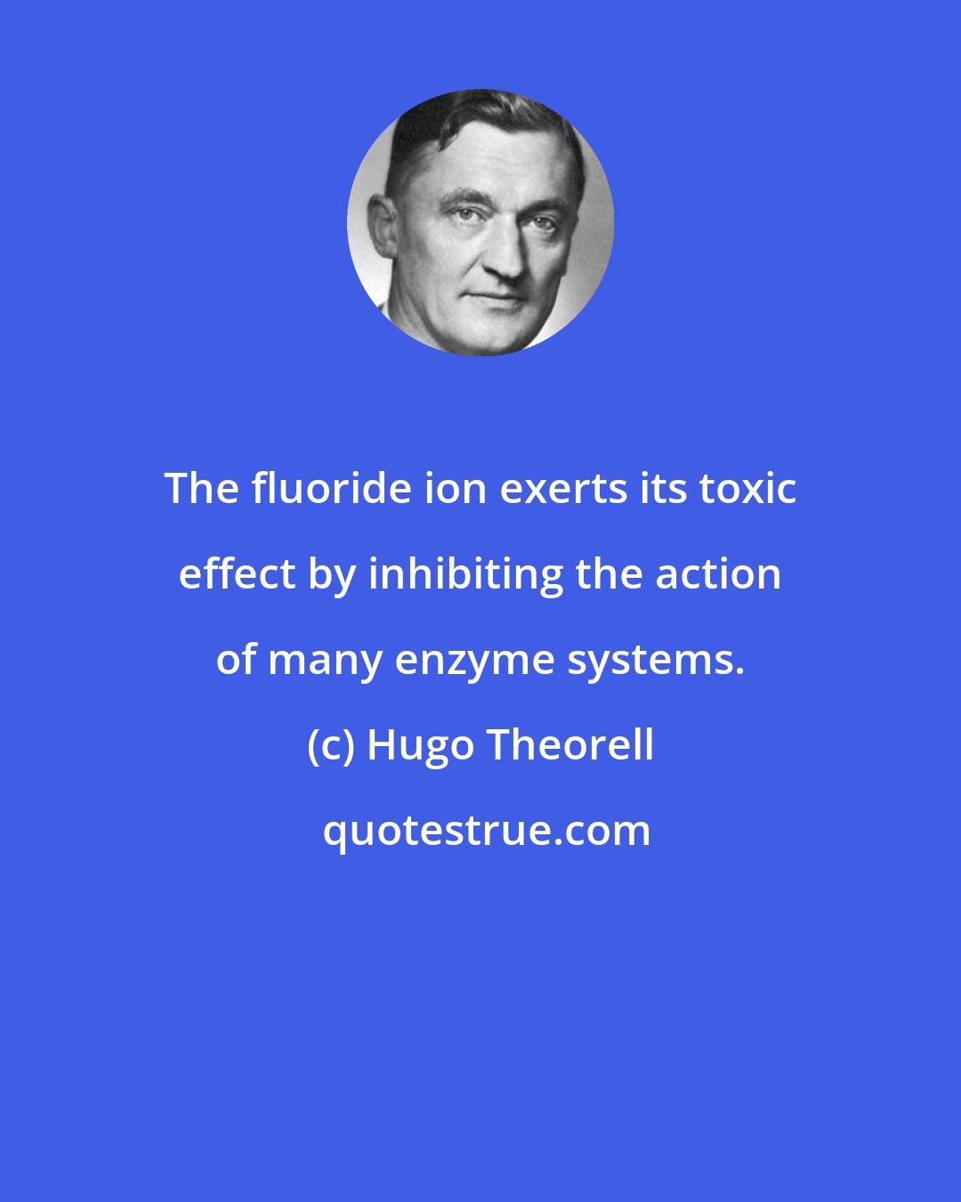 Hugo Theorell: The fluoride ion exerts its toxic effect by inhibiting the action of many enzyme systems.