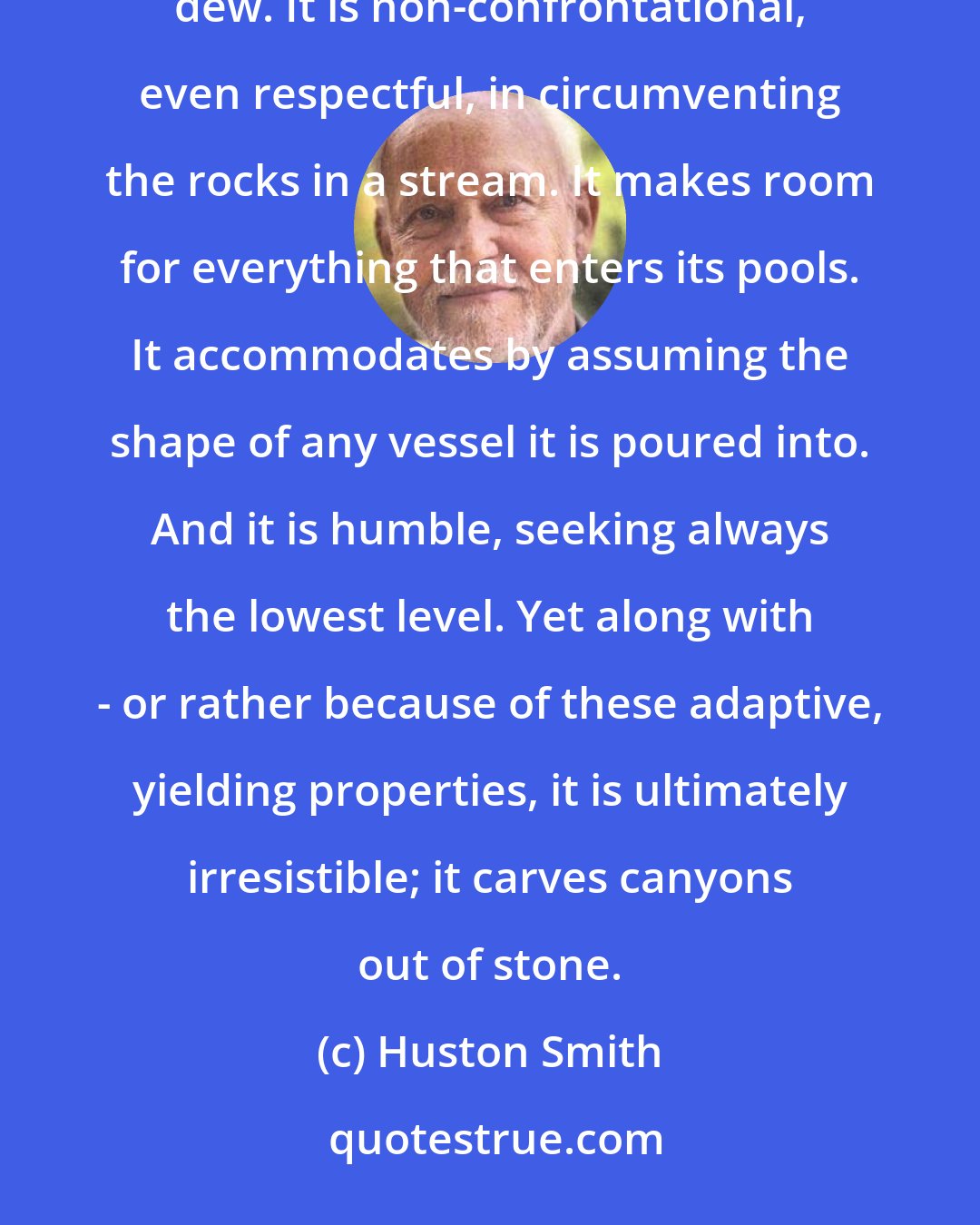 Huston Smith: Water is patient; it can stagnate and let itself be coated with scum if need be. It is as gentle as the morning's dew. It is non-confrontational, even respectful, in circumventing the rocks in a stream. It makes room for everything that enters its pools. It accommodates by assuming the shape of any vessel it is poured into. And it is humble, seeking always the lowest level. Yet along with - or rather because of these adaptive, yielding properties, it is ultimately irresistible; it carves canyons out of stone.