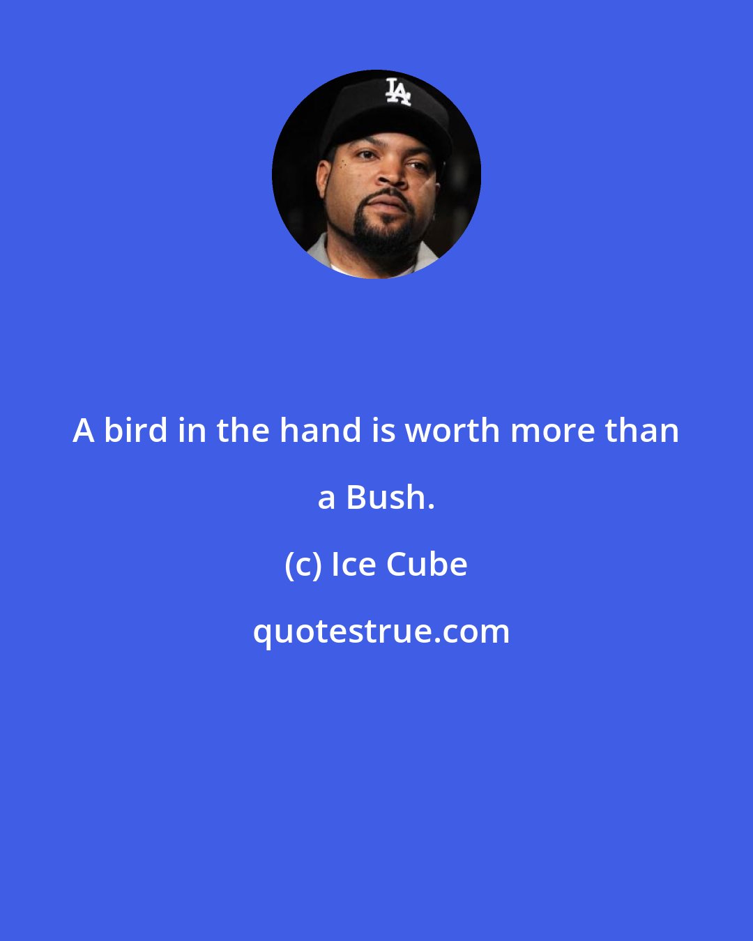 Ice Cube: A bird in the hand is worth more than a Bush.