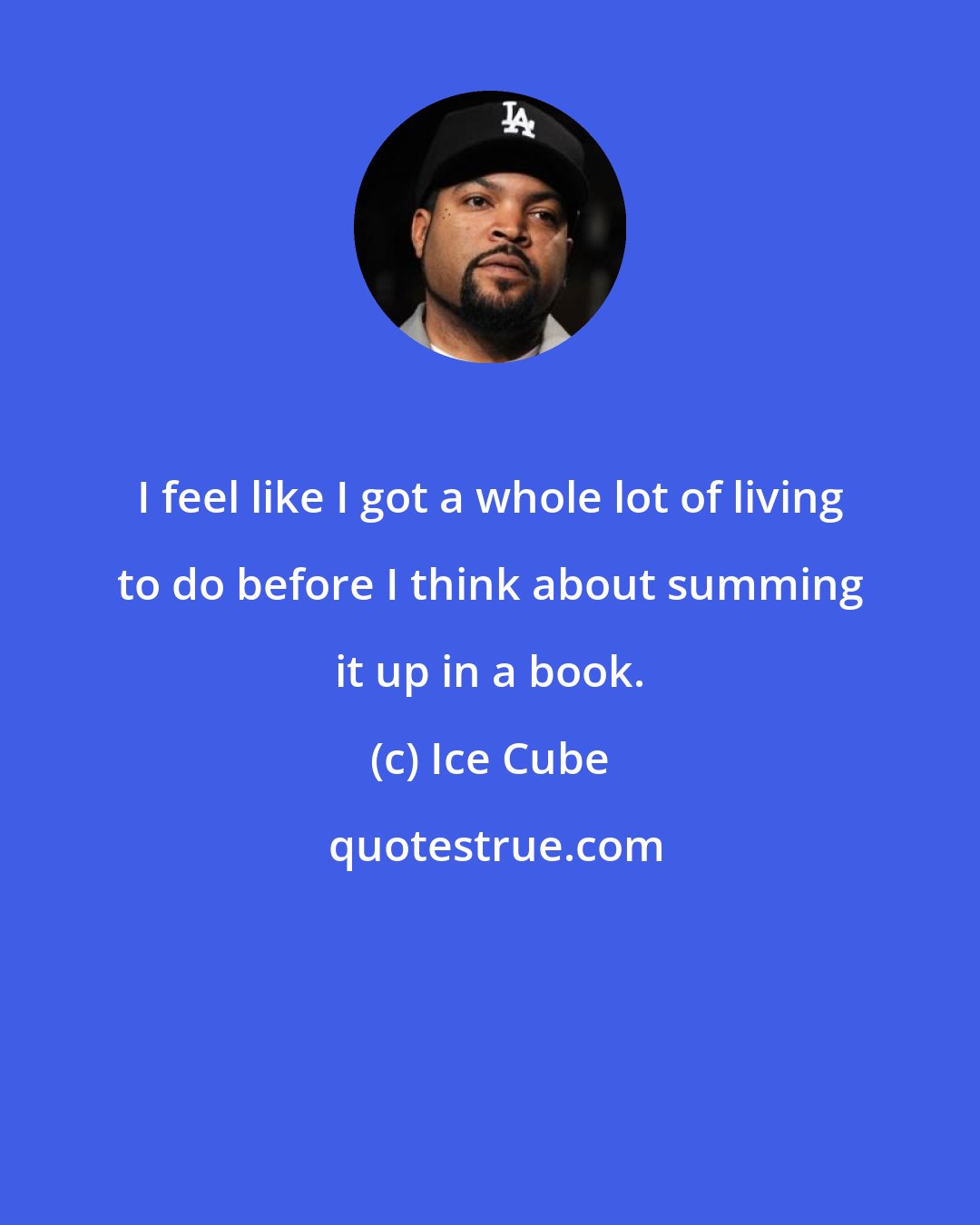 Ice Cube: I feel like I got a whole lot of living to do before I think about summing it up in a book.