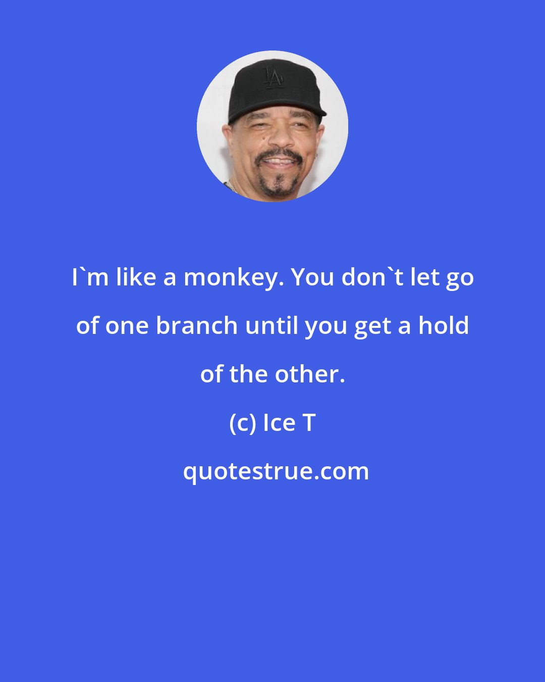 Ice T: I'm like a monkey. You don't let go of one branch until you get a hold of the other.