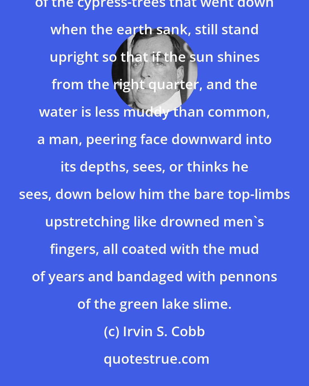 Irvin S. Cobb: Reelfoot is, and has always been, a lake of mystery.In places it is bottomless. Other places the skeletons of the cypress-trees that went down when the earth sank, still stand upright so that if the sun shines from the right quarter, and the water is less muddy than common, a man, peering face downward into its depths, sees, or thinks he sees, down below him the bare top-limbs upstretching like drowned men's fingers, all coated with the mud of years and bandaged with pennons of the green lake slime.