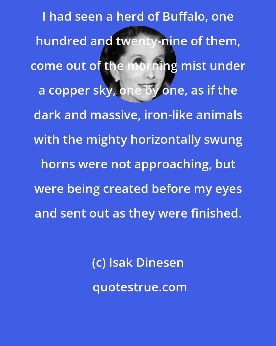 Isak Dinesen: I had seen a herd of Buffalo, one hundred and twenty-nine of them, come out of the morning mist under a copper sky, one by one, as if the dark and massive, iron-like animals with the mighty horizontally swung horns were not approaching, but were being created before my eyes and sent out as they were finished.